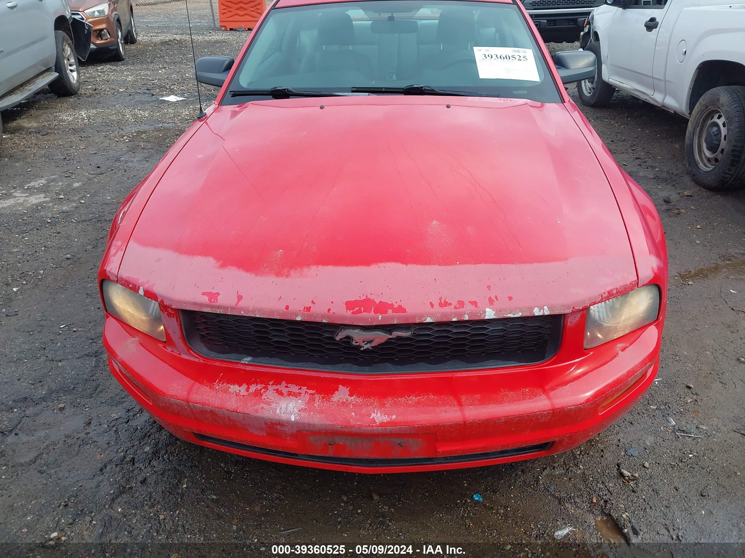 Photo 5 VIN: 1ZVFT80N075307819 - FORD MUSTANG 