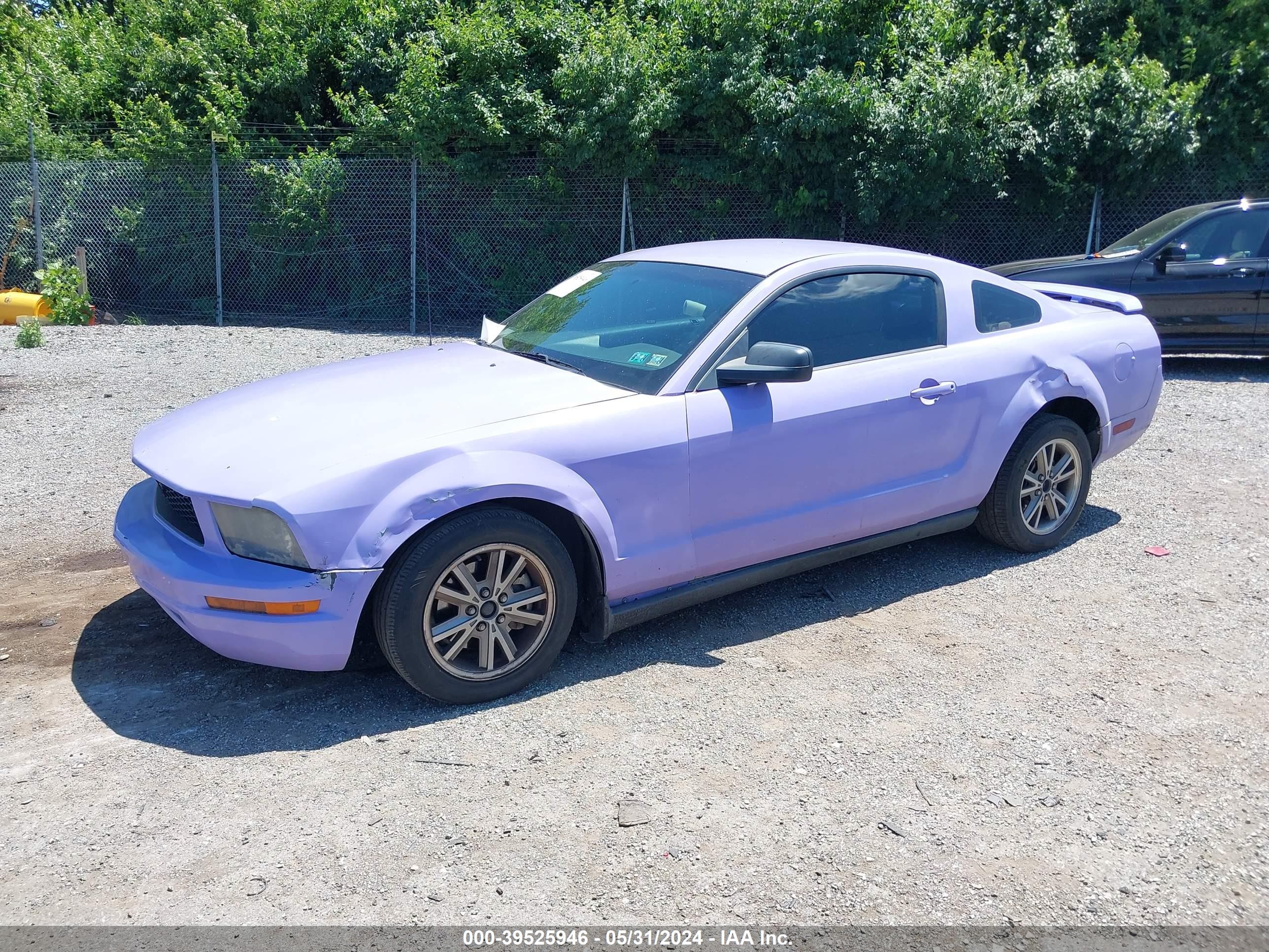 Photo 1 VIN: 1ZVFT80N155124118 - FORD MUSTANG 