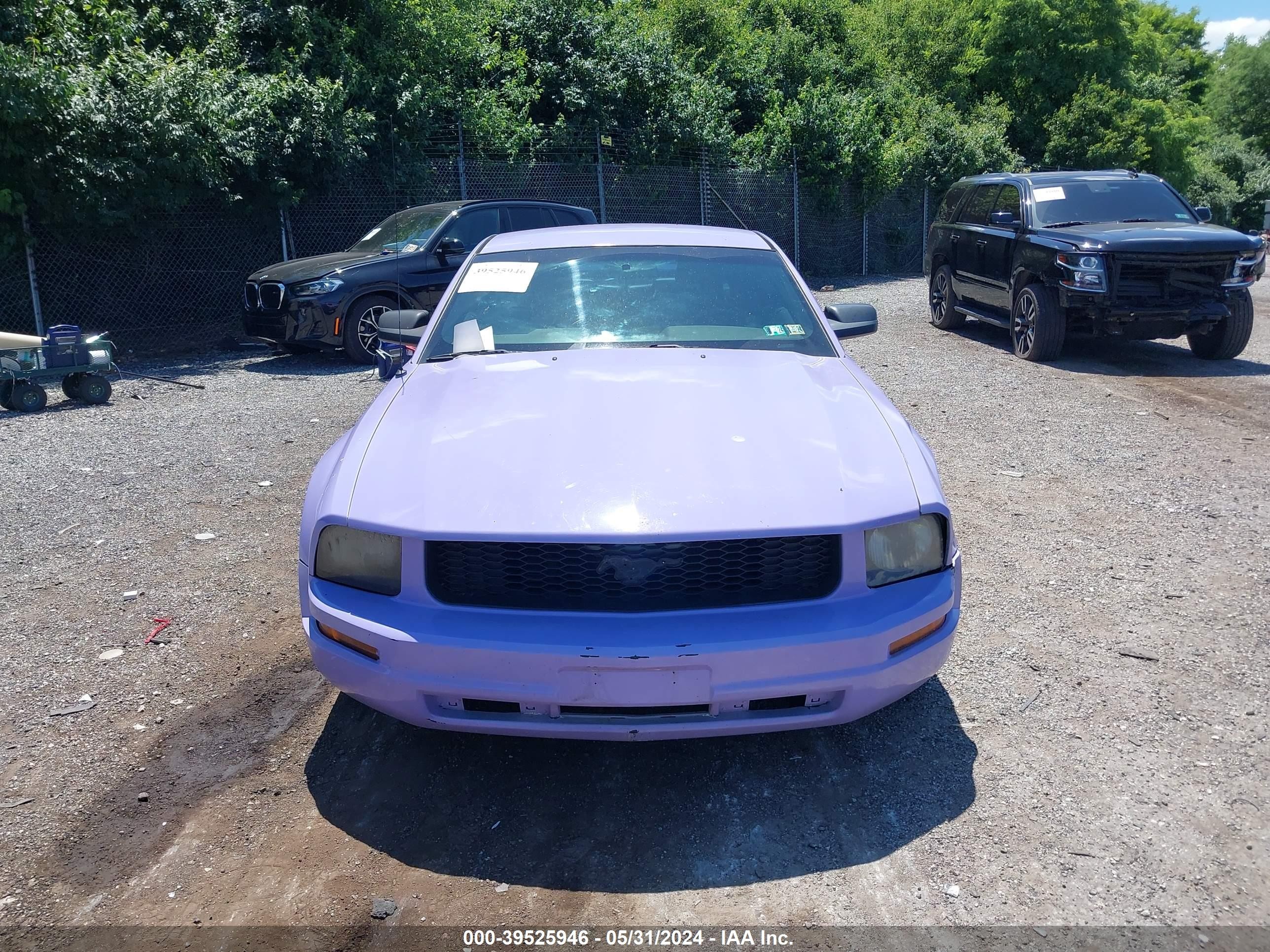 Photo 5 VIN: 1ZVFT80N155124118 - FORD MUSTANG 