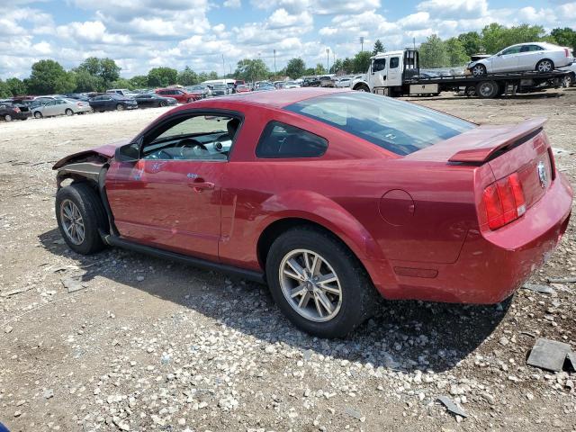 Photo 1 VIN: 1ZVFT80N155240290 - FORD MUSTANG 