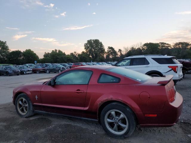 Photo 1 VIN: 1ZVFT80N165148565 - FORD MUSTANG 