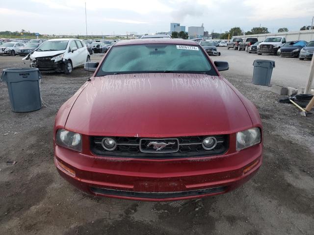 Photo 4 VIN: 1ZVFT80N165148565 - FORD MUSTANG 