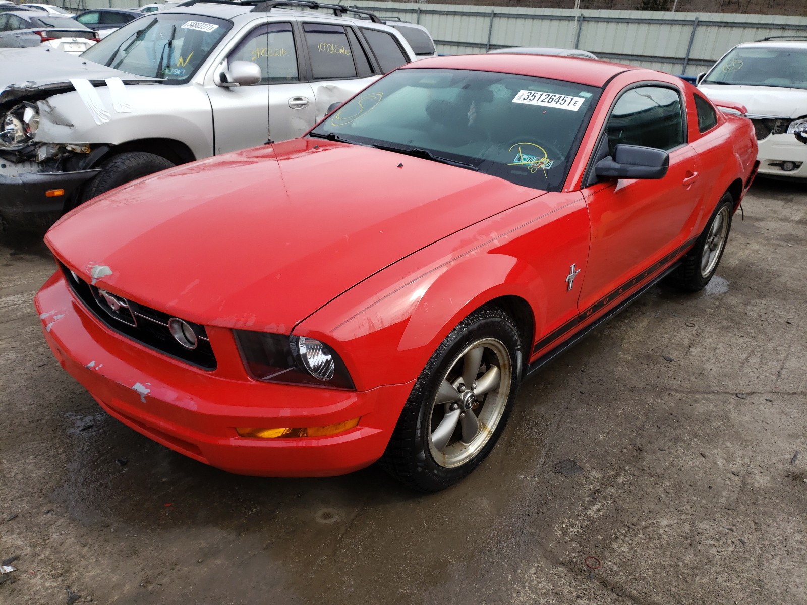 Photo 1 VIN: 1ZVFT80N165178374 - FORD MUSTANG 