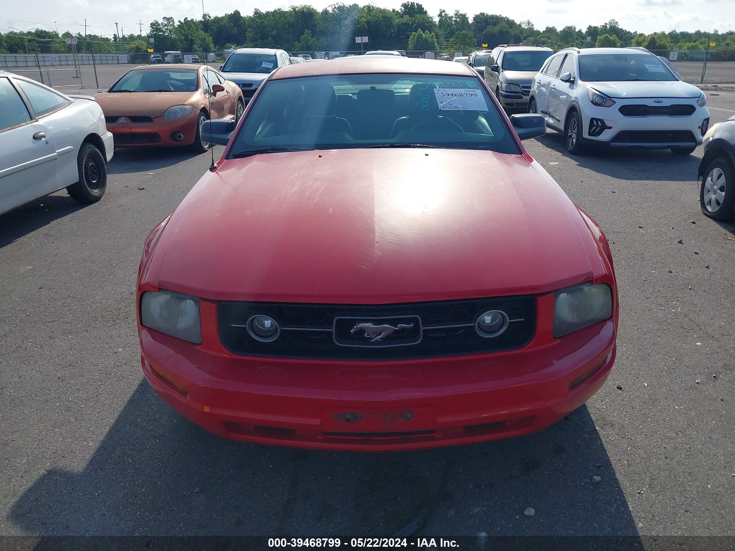 Photo 5 VIN: 1ZVFT80N165185518 - FORD MUSTANG 