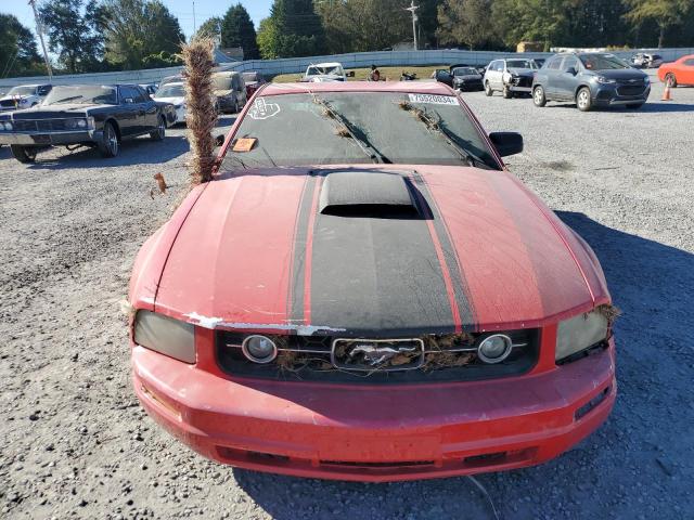 Photo 4 VIN: 1ZVFT80N175202805 - FORD MUSTANG 