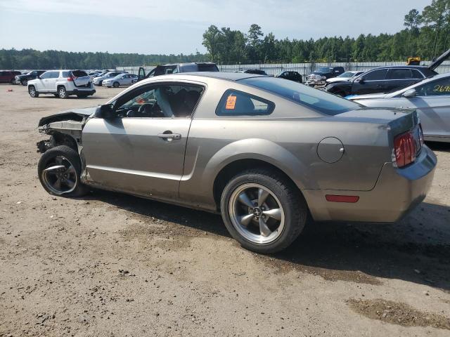 Photo 1 VIN: 1ZVFT80N255131031 - FORD MUSTANG 