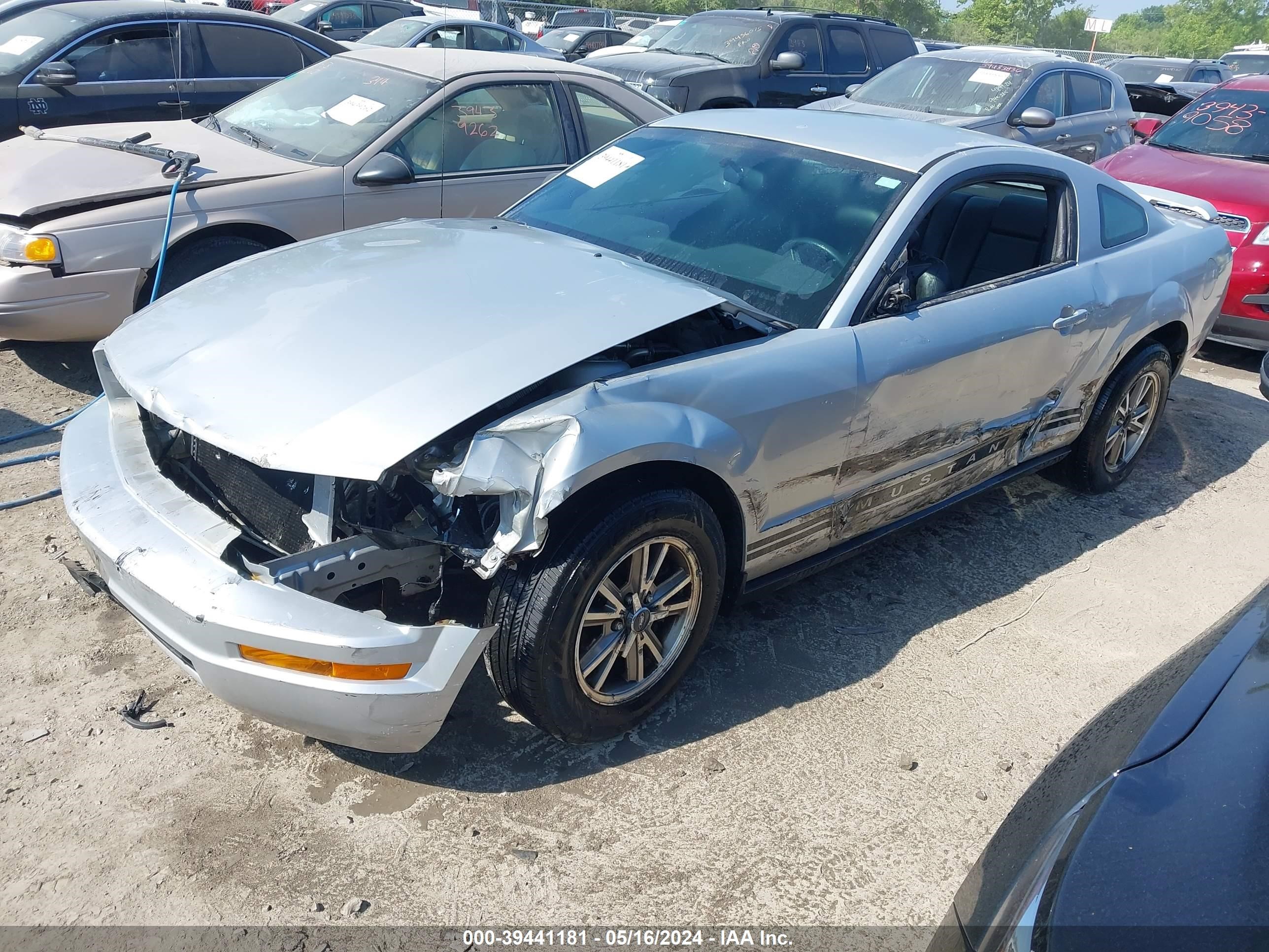 Photo 1 VIN: 1ZVFT80N255248902 - FORD MUSTANG 