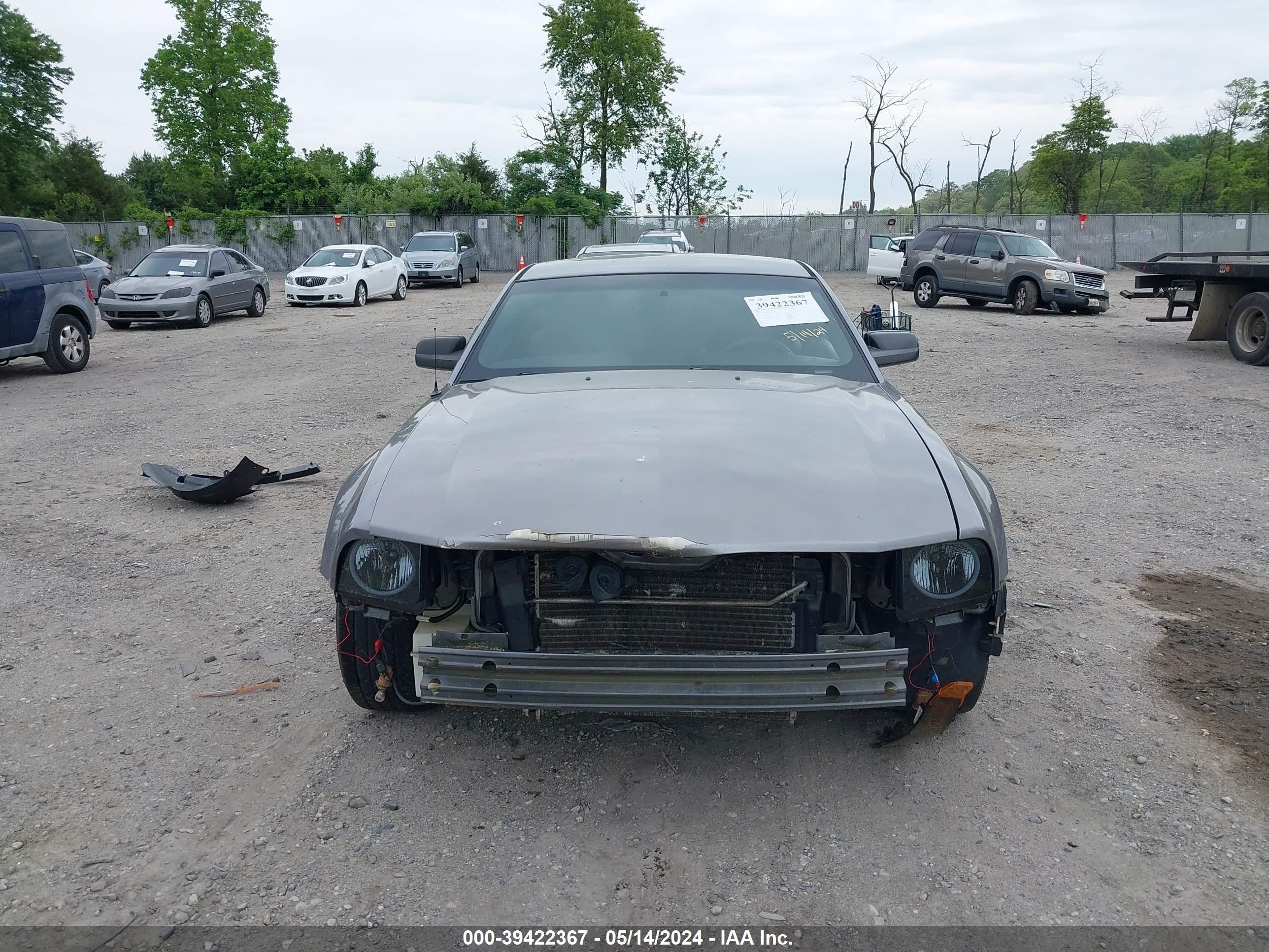 Photo 11 VIN: 1ZVFT80N265238534 - FORD MUSTANG 