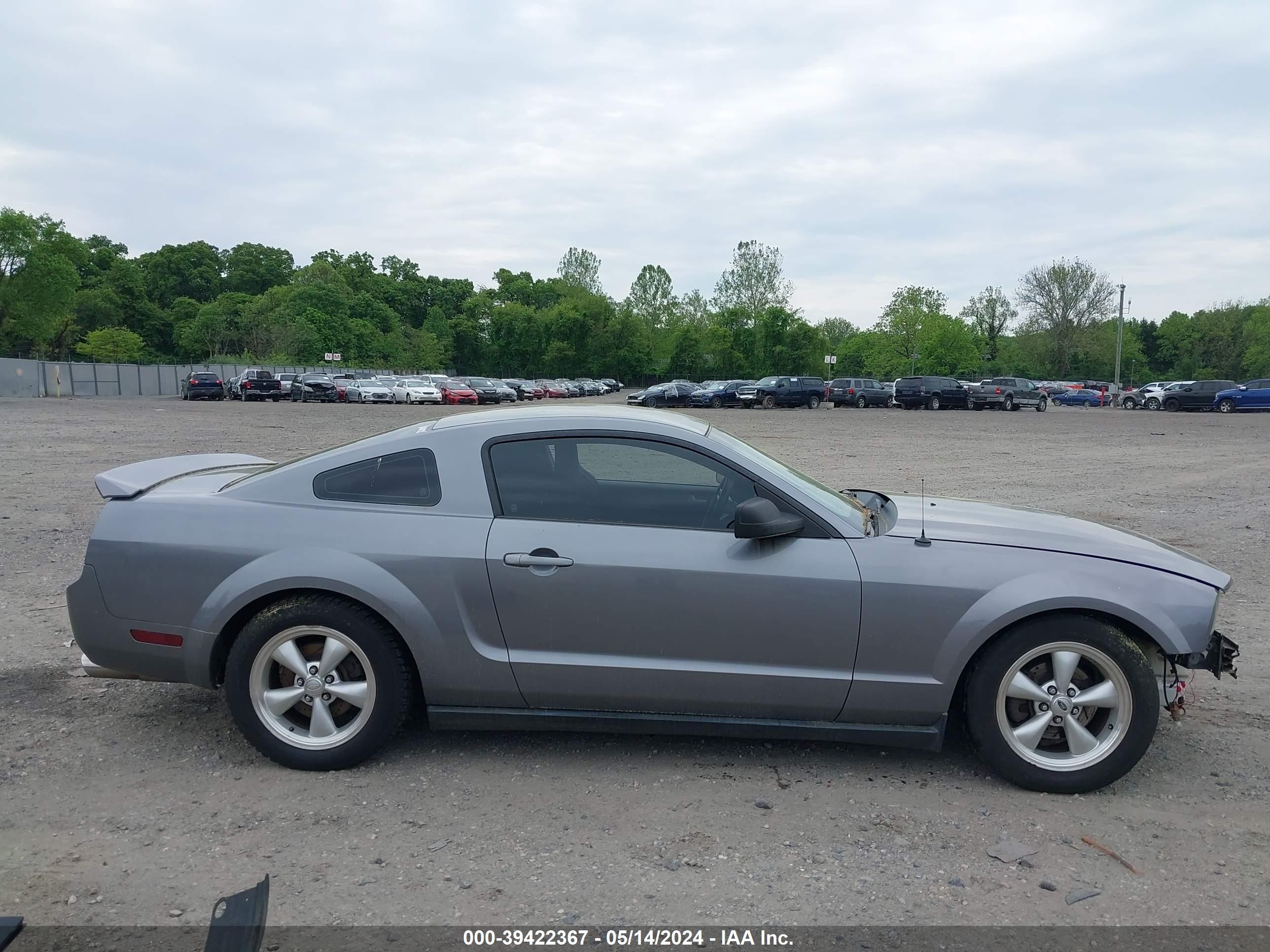 Photo 12 VIN: 1ZVFT80N265238534 - FORD MUSTANG 