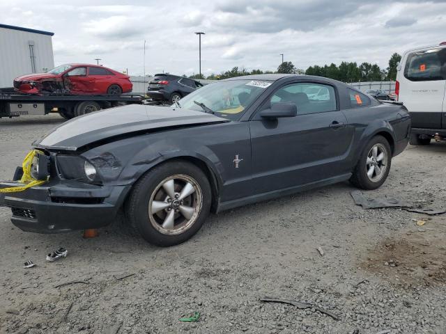 Photo 0 VIN: 1ZVFT80N275241905 - FORD MUSTANG 