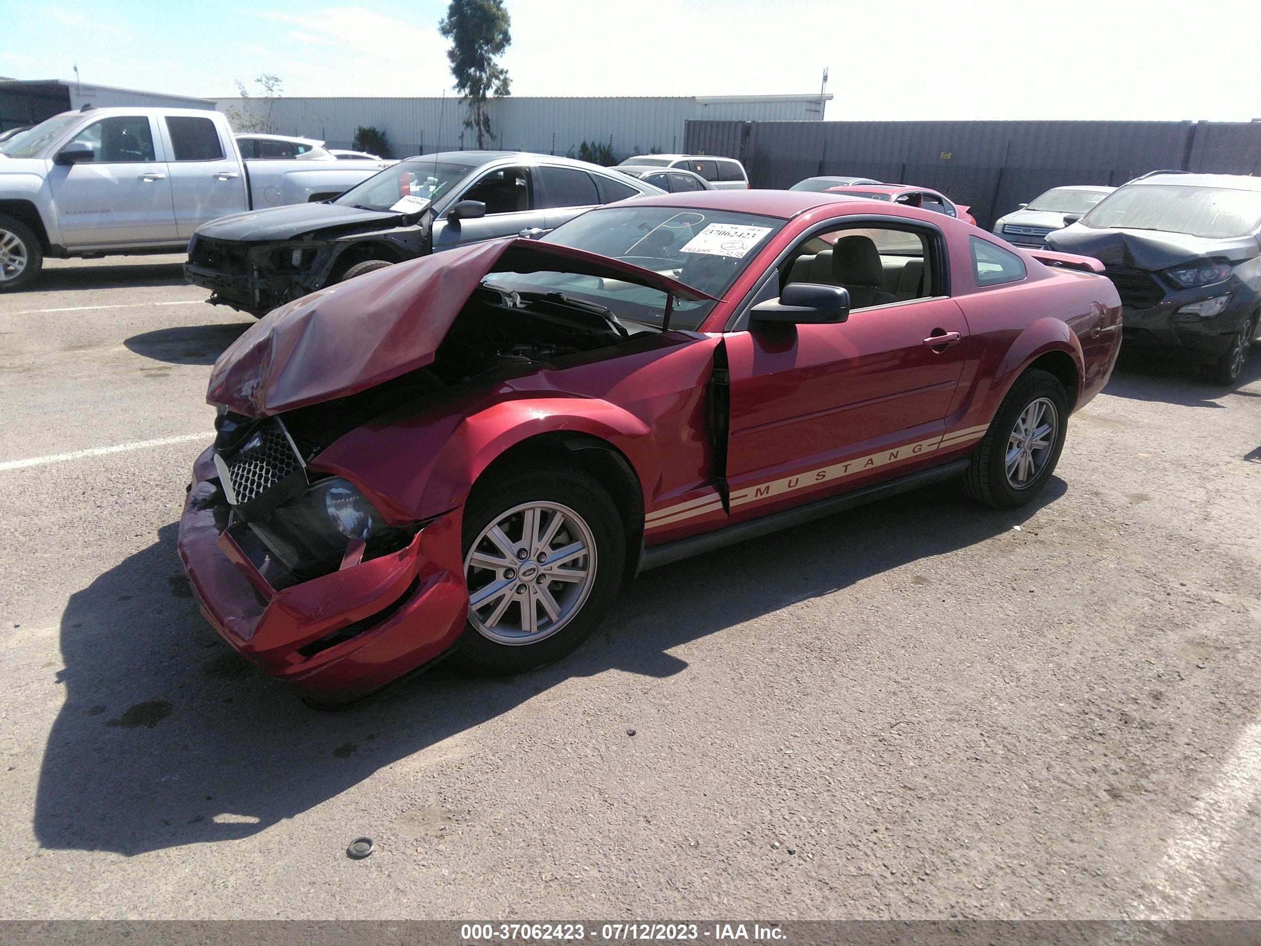 Photo 1 VIN: 1ZVFT80N355138974 - FORD MUSTANG 