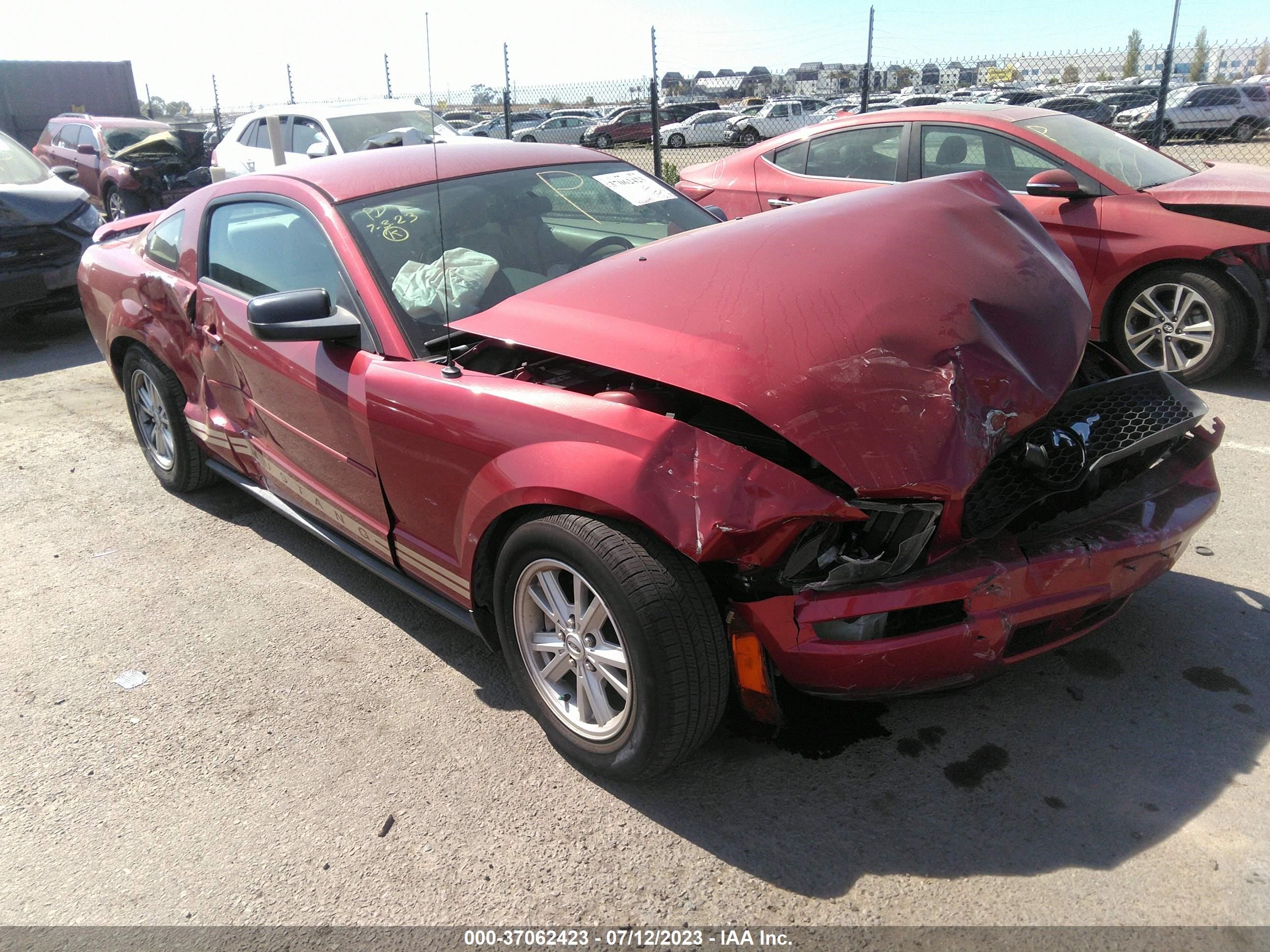 Photo 5 VIN: 1ZVFT80N355138974 - FORD MUSTANG 