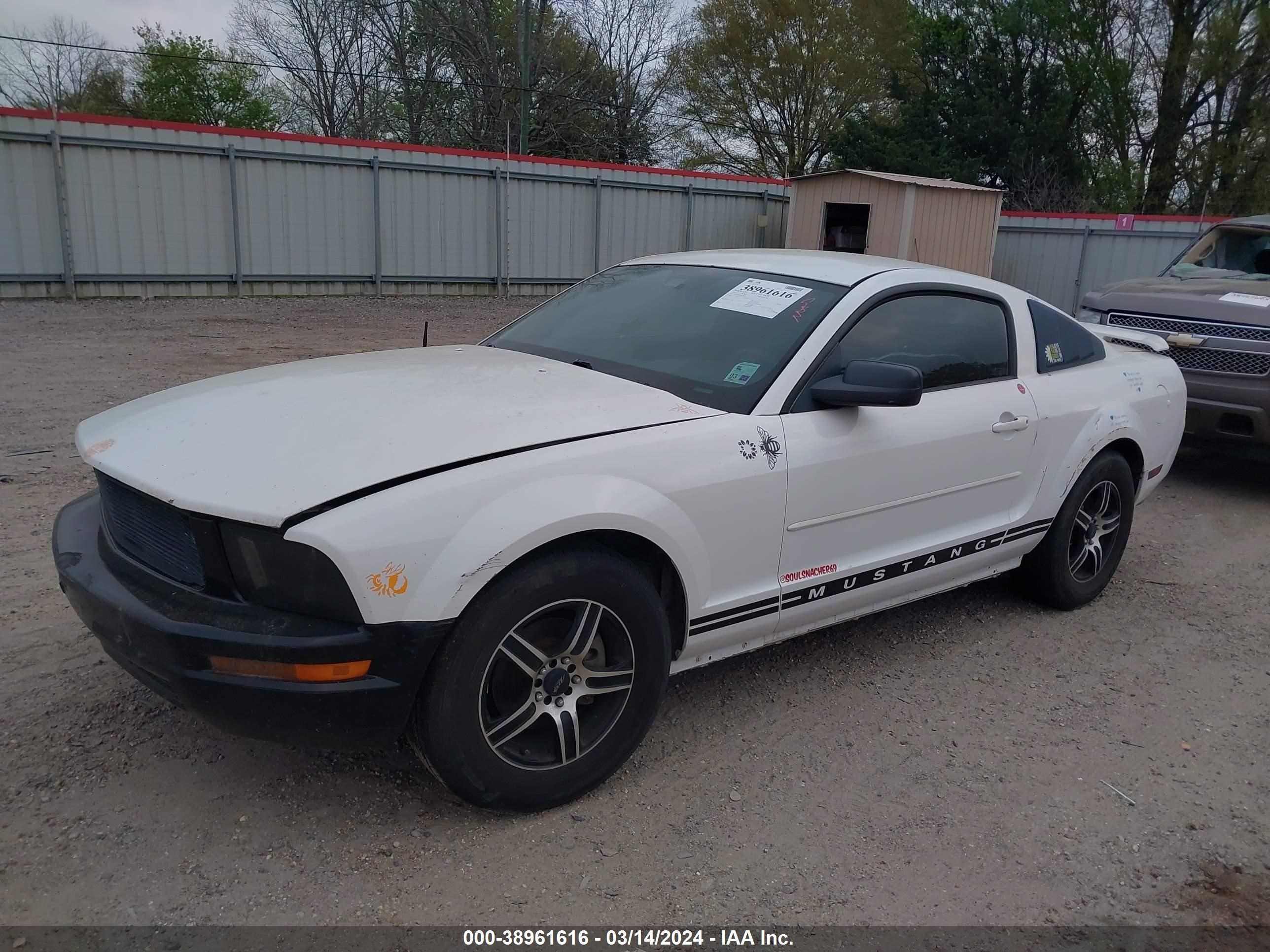 Photo 1 VIN: 1ZVFT80N355147934 - FORD MUSTANG 