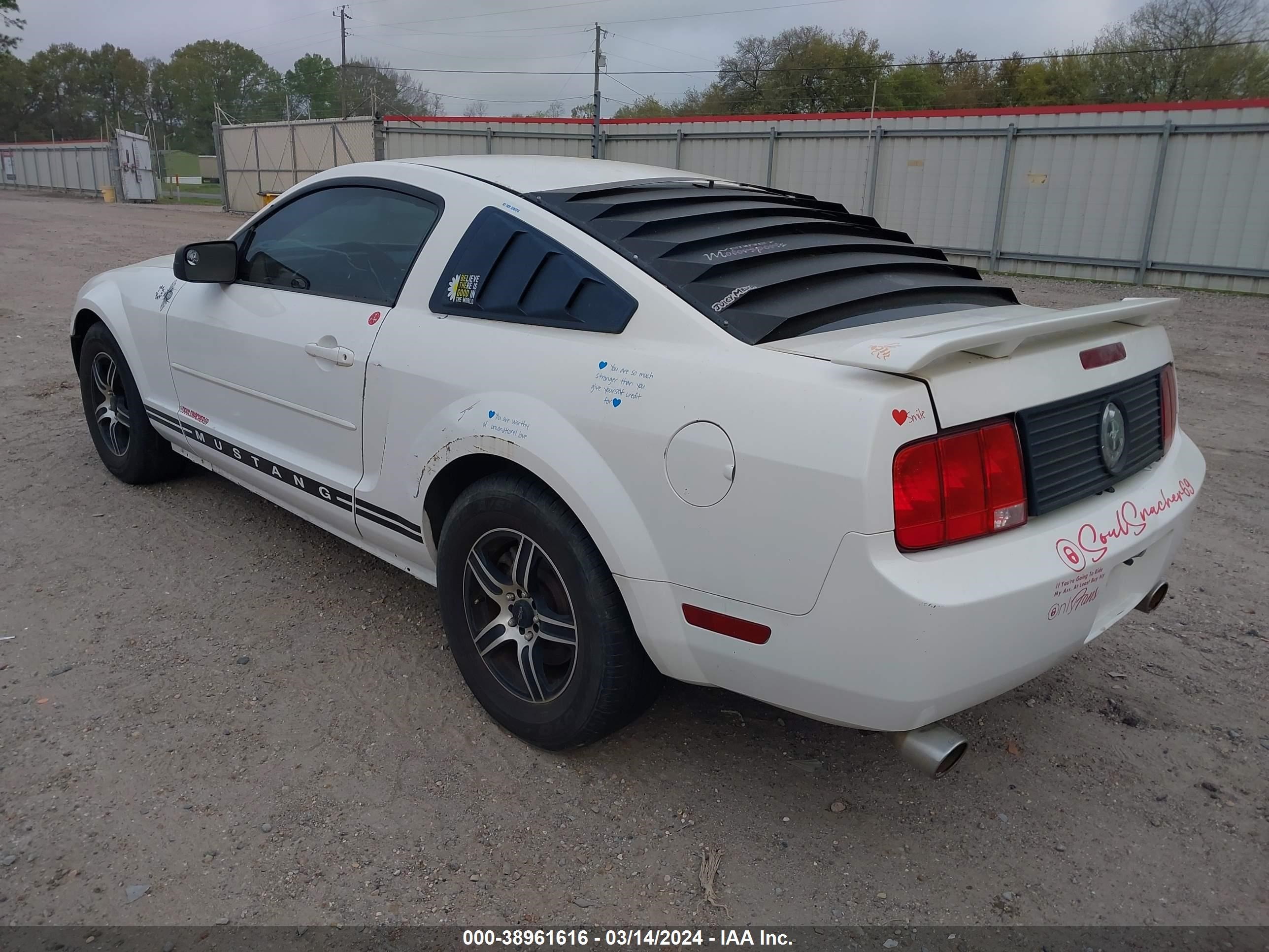 Photo 5 VIN: 1ZVFT80N355147934 - FORD MUSTANG 