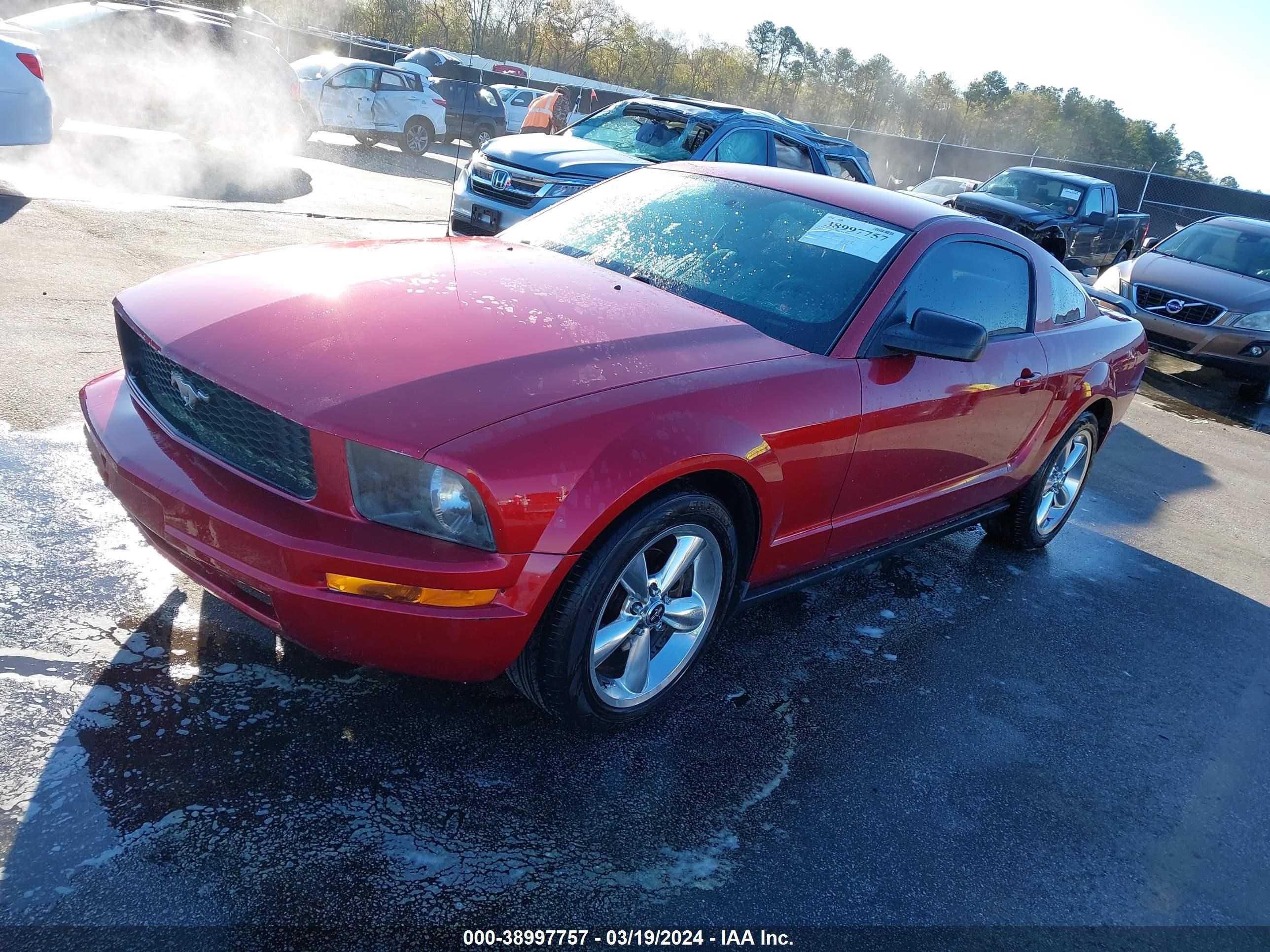 Photo 1 VIN: 1ZVFT80N355165947 - FORD MUSTANG 