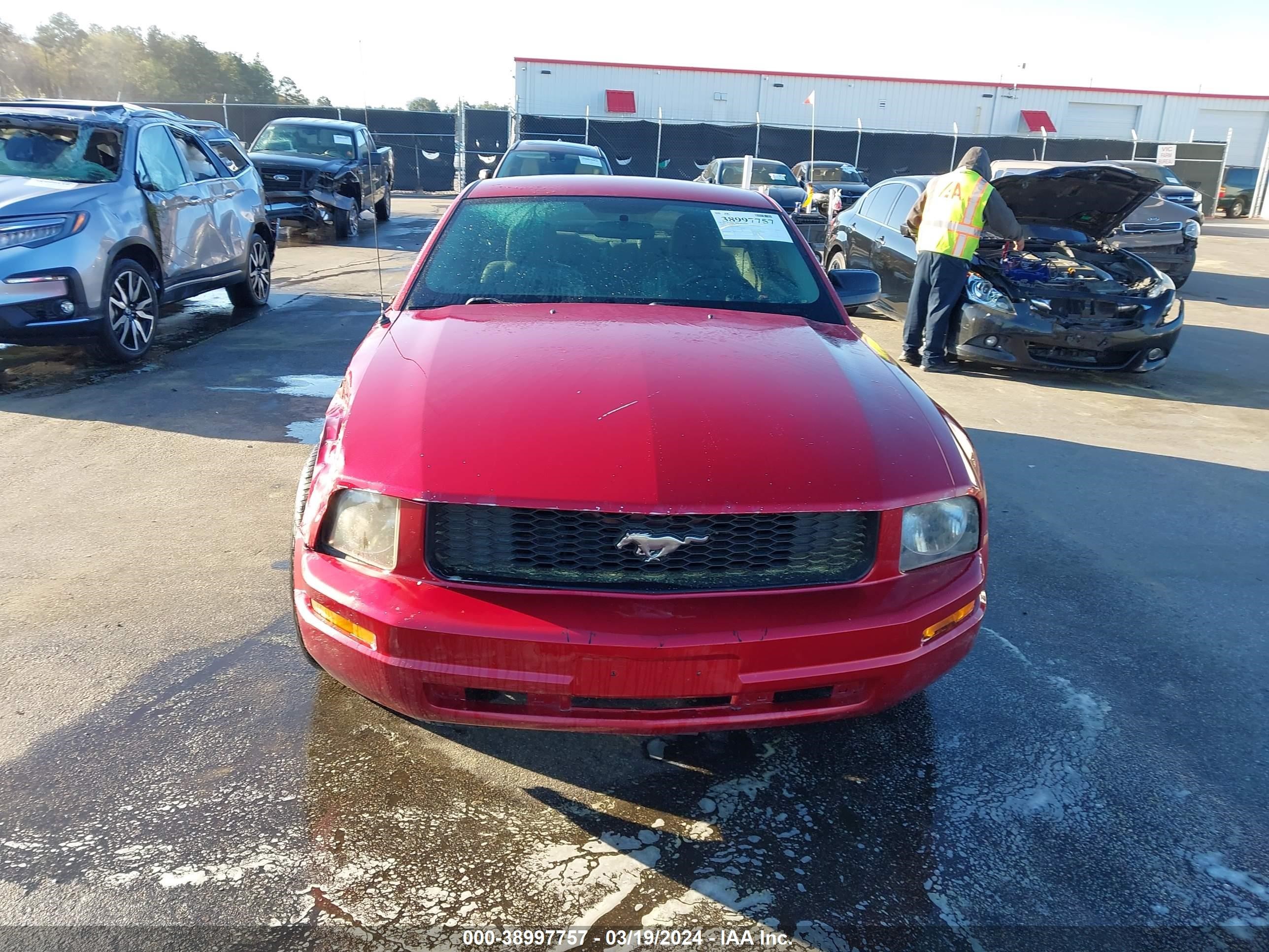 Photo 12 VIN: 1ZVFT80N355165947 - FORD MUSTANG 