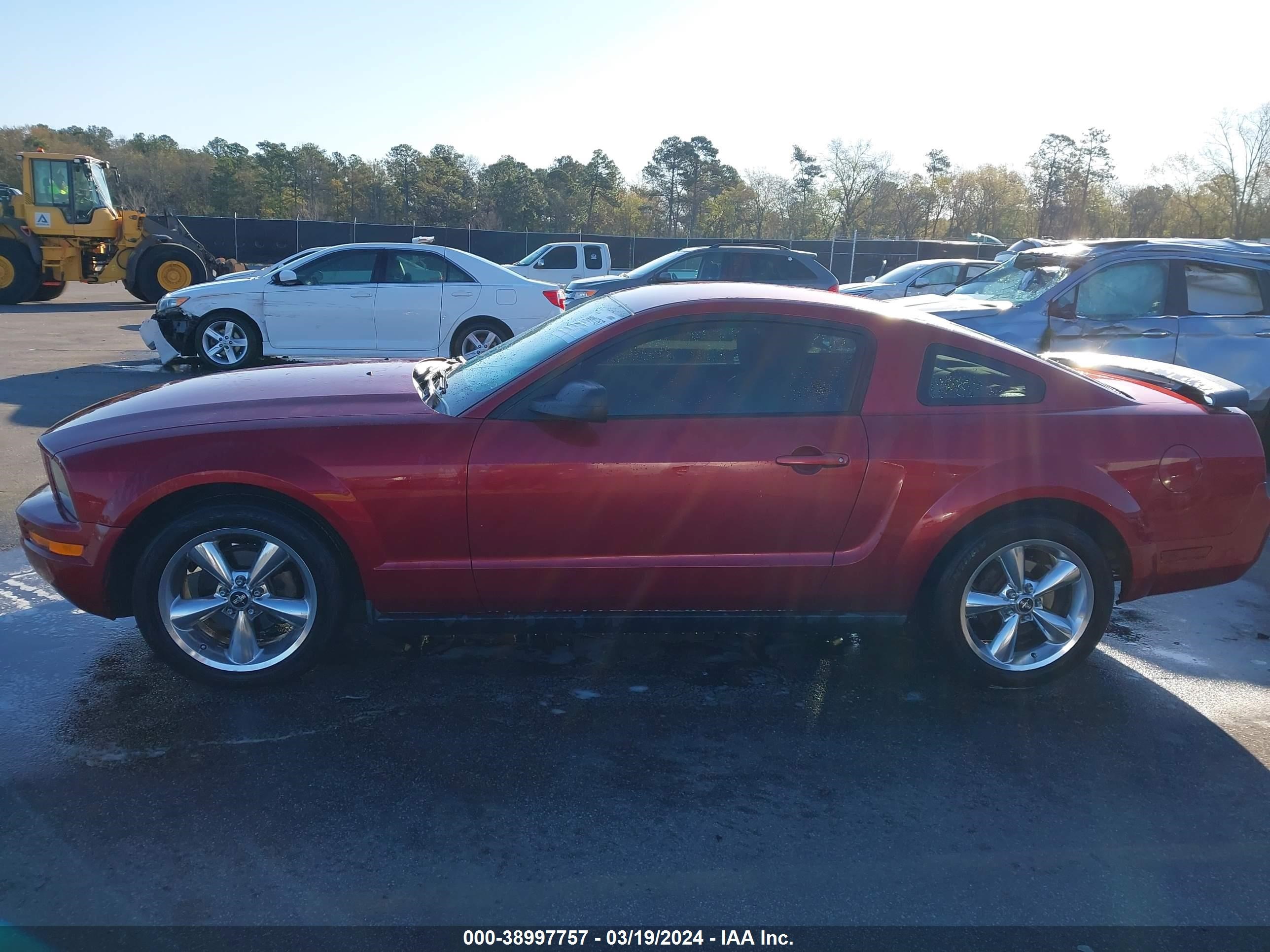 Photo 14 VIN: 1ZVFT80N355165947 - FORD MUSTANG 