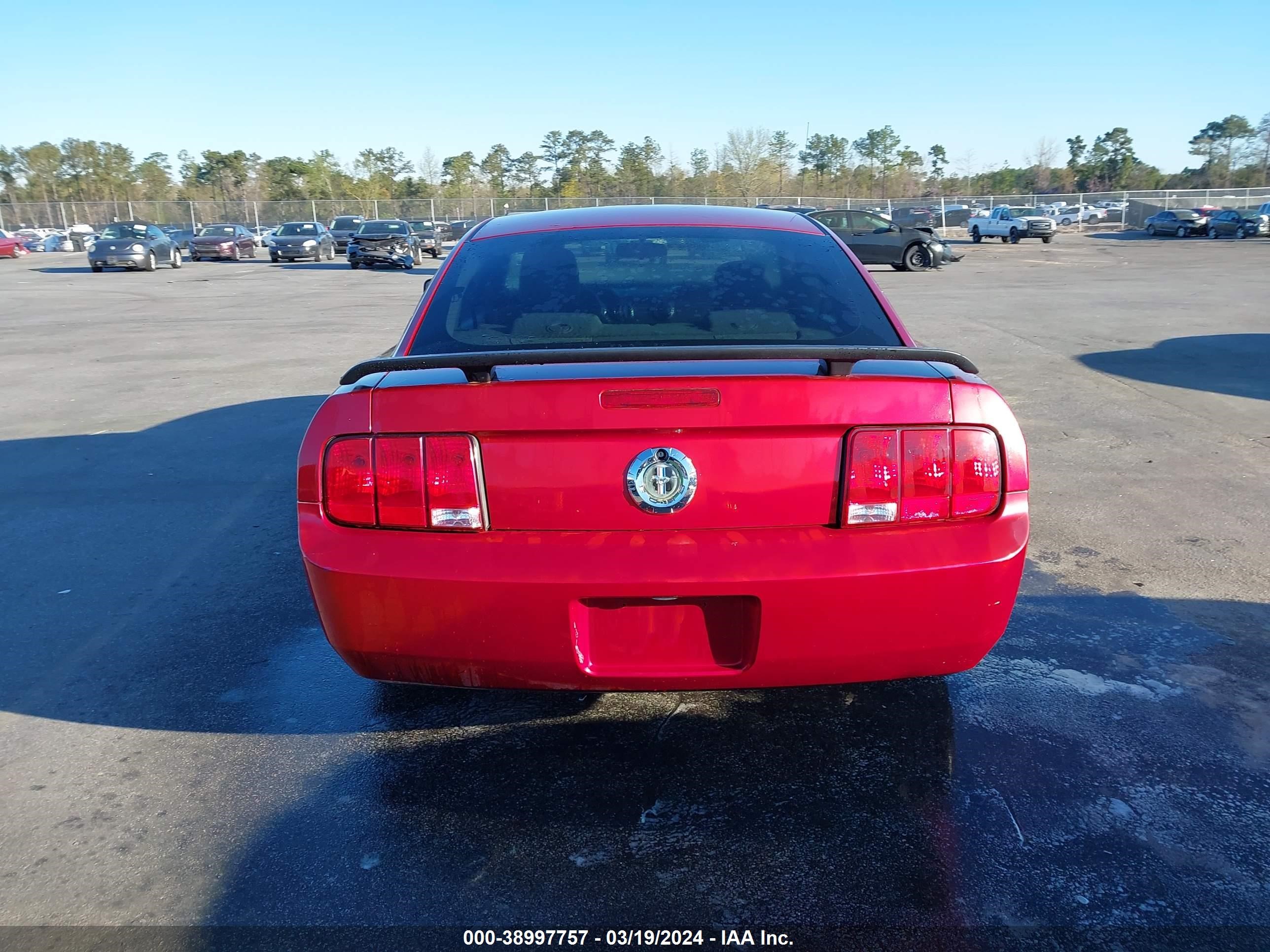 Photo 16 VIN: 1ZVFT80N355165947 - FORD MUSTANG 