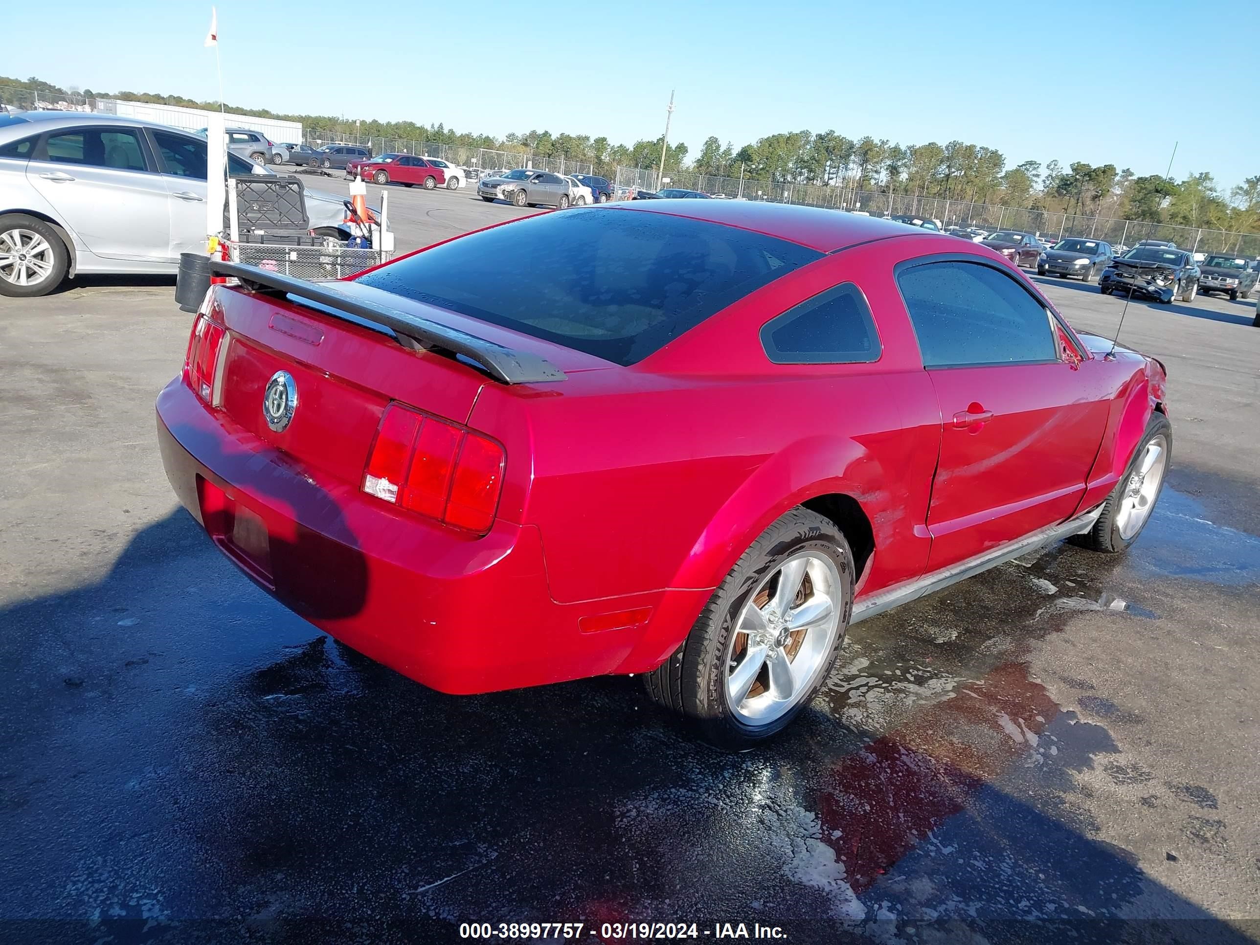 Photo 3 VIN: 1ZVFT80N355165947 - FORD MUSTANG 