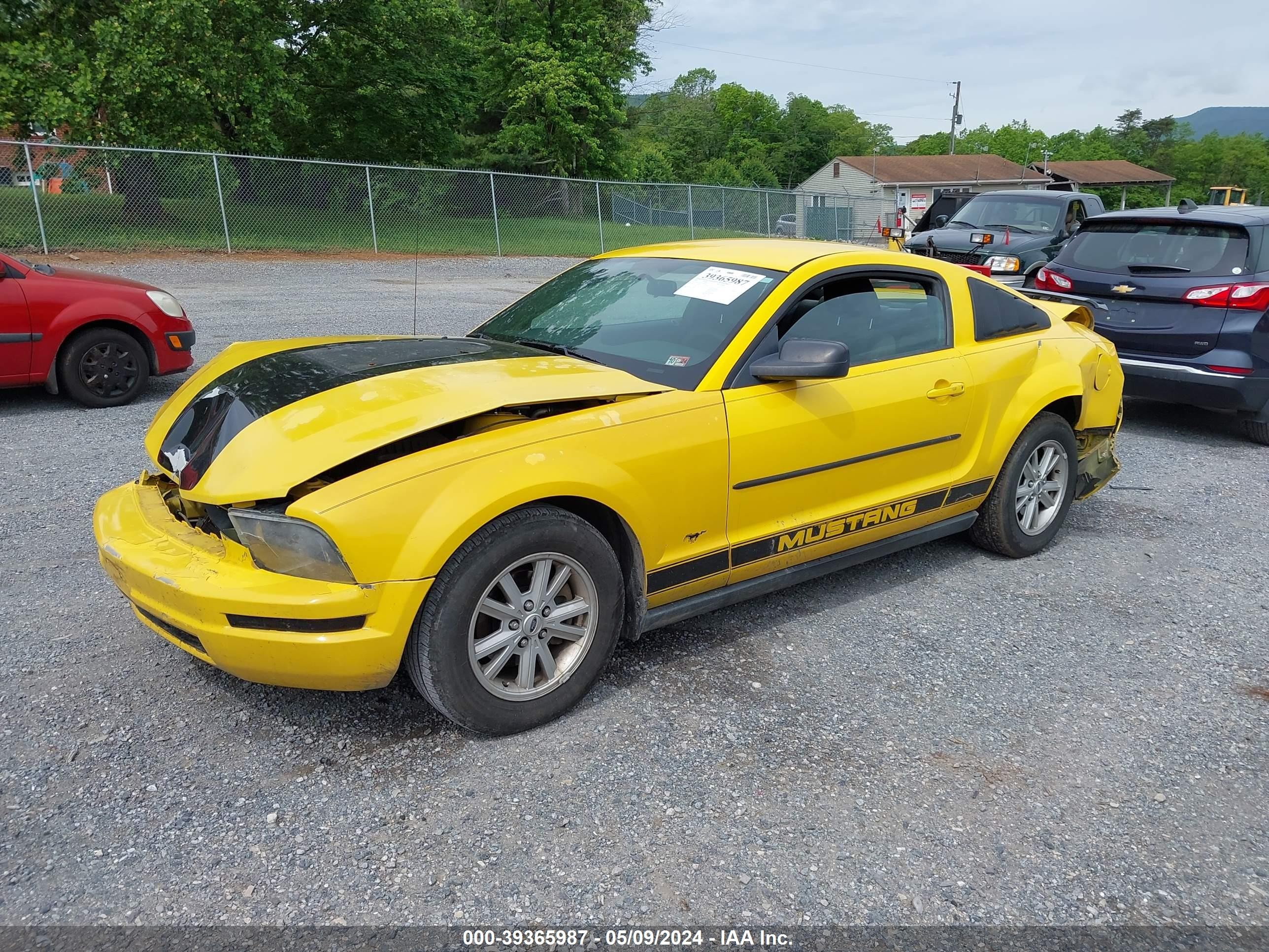 Photo 1 VIN: 1ZVFT80N355201958 - FORD MUSTANG 