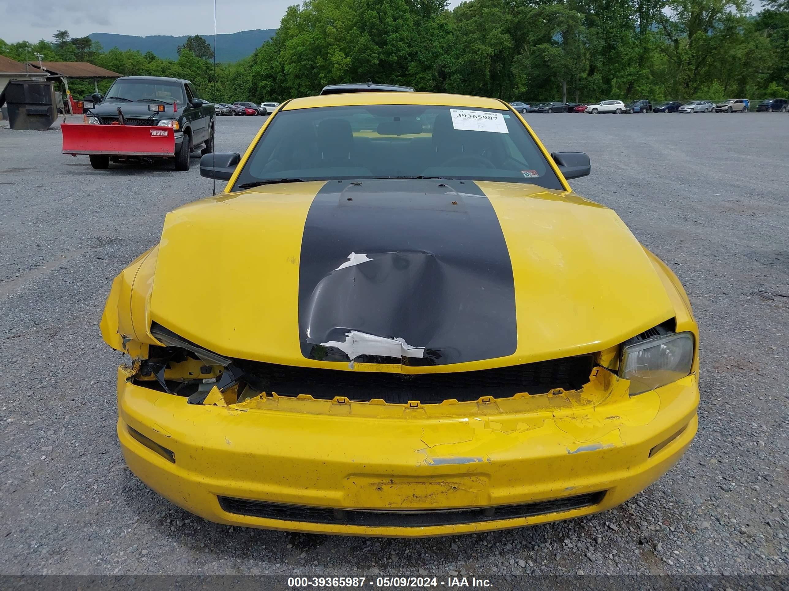 Photo 12 VIN: 1ZVFT80N355201958 - FORD MUSTANG 