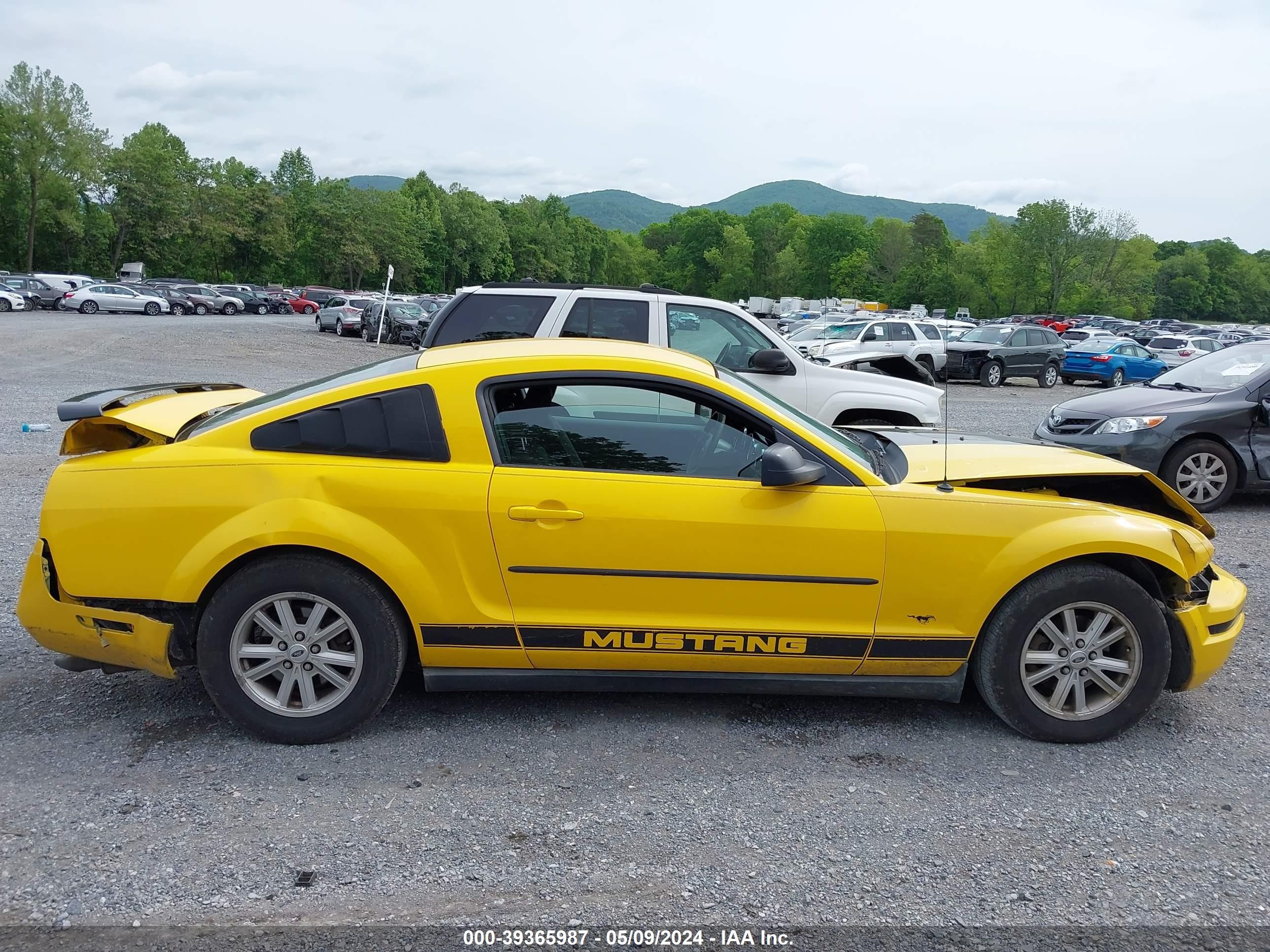 Photo 13 VIN: 1ZVFT80N355201958 - FORD MUSTANG 