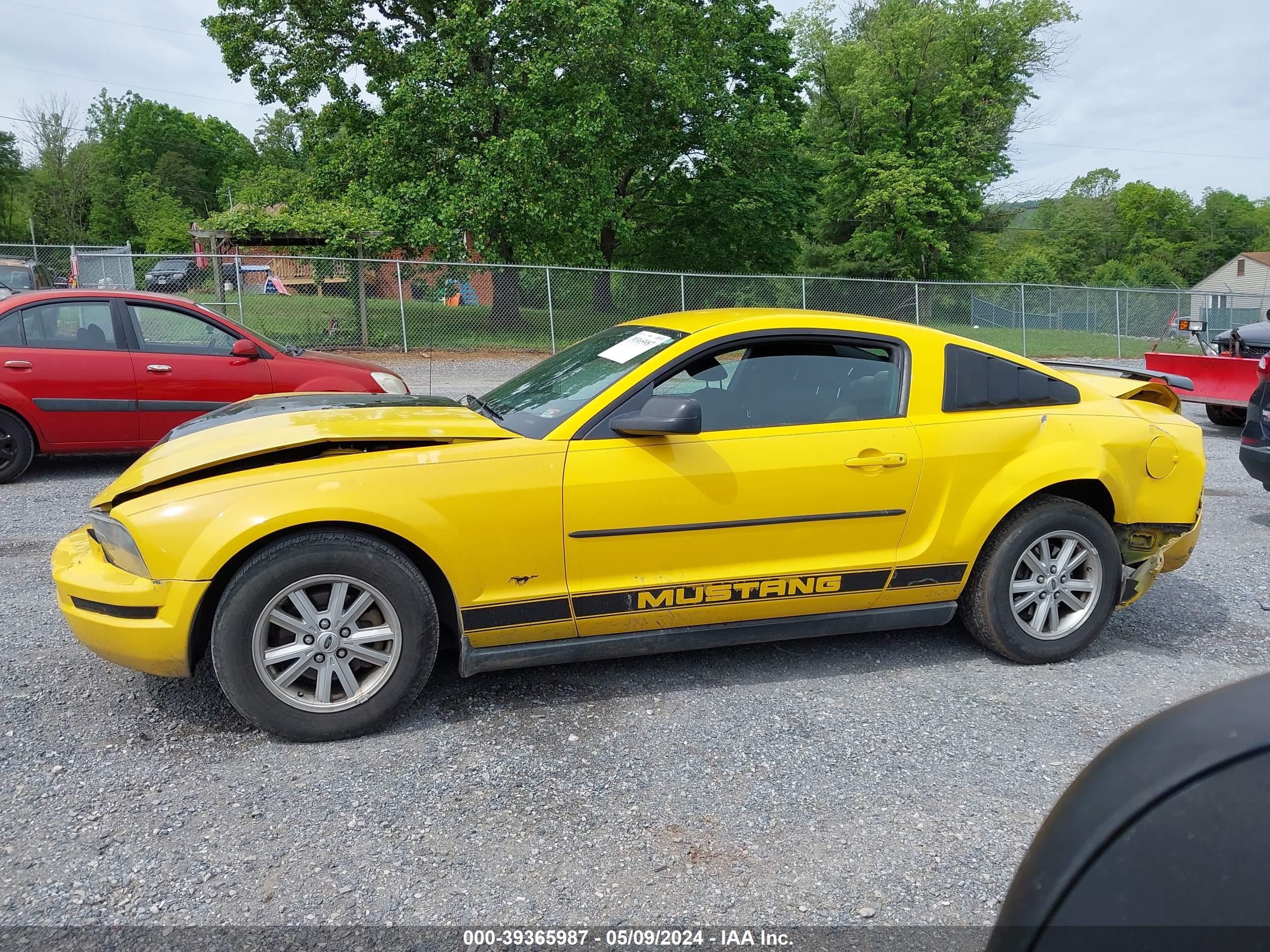 Photo 14 VIN: 1ZVFT80N355201958 - FORD MUSTANG 