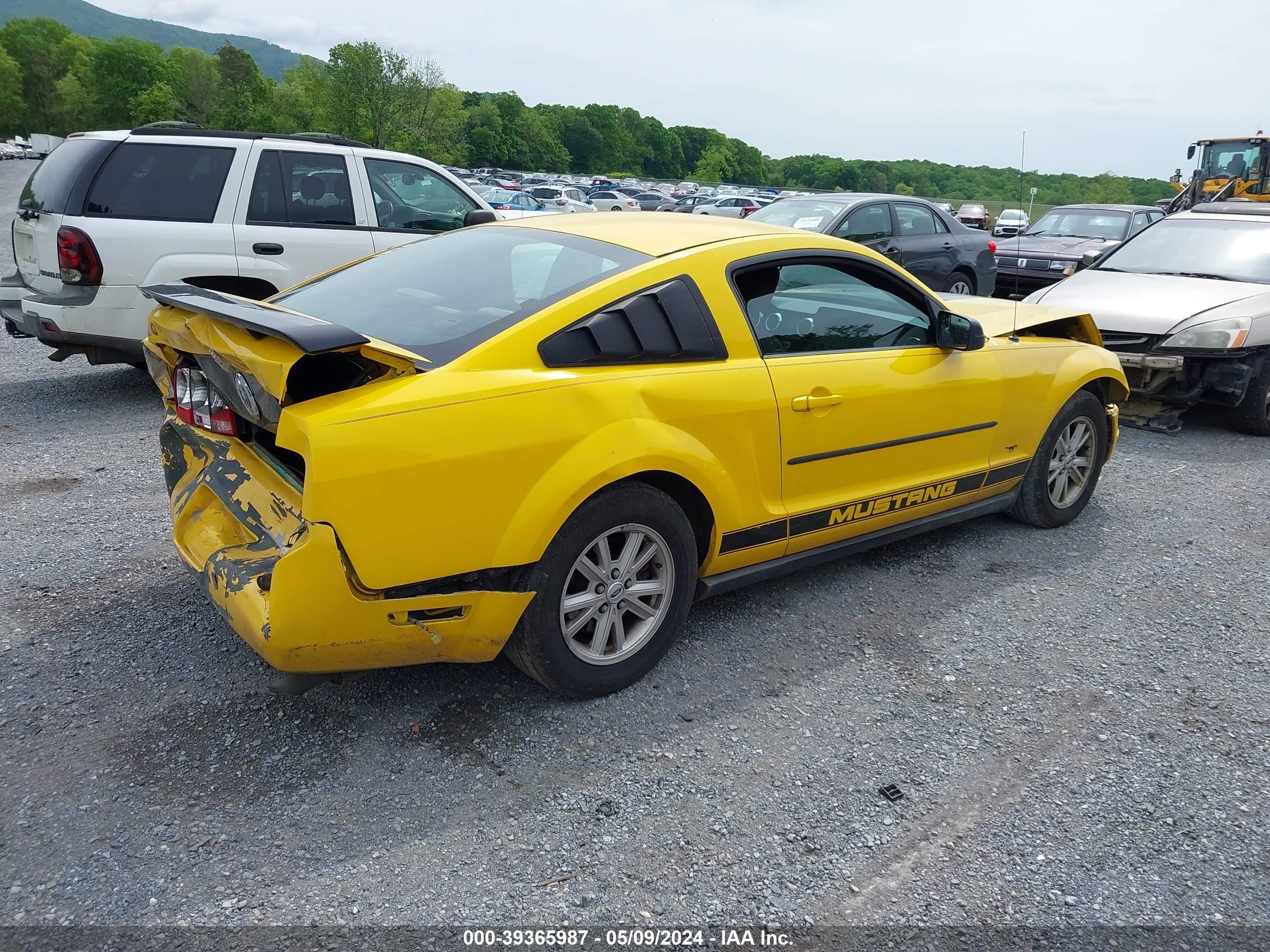 Photo 3 VIN: 1ZVFT80N355201958 - FORD MUSTANG 