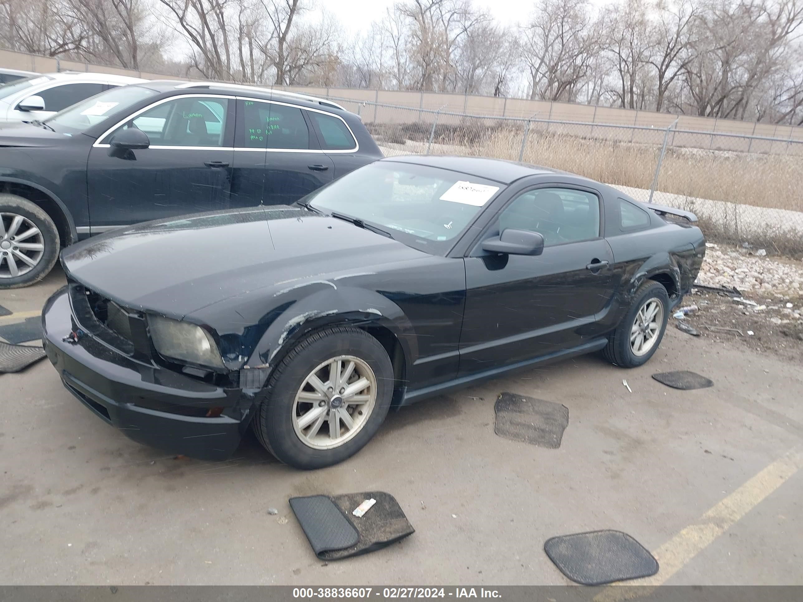 Photo 1 VIN: 1ZVFT80N365105264 - FORD MUSTANG 