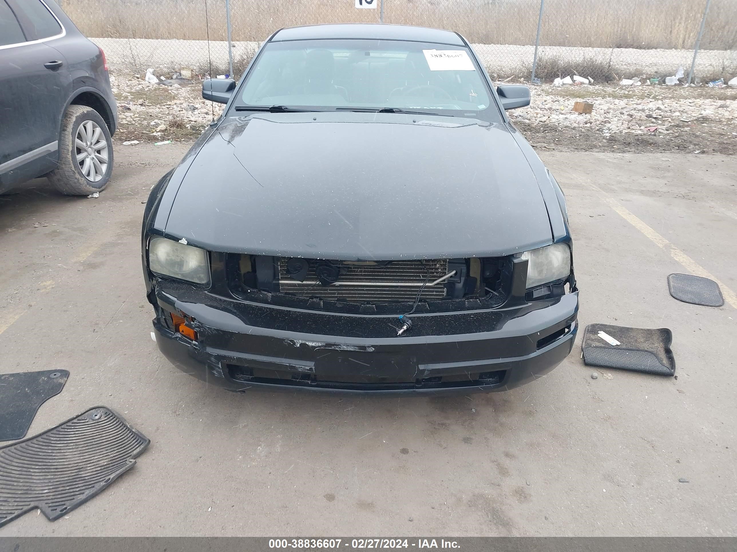 Photo 11 VIN: 1ZVFT80N365105264 - FORD MUSTANG 