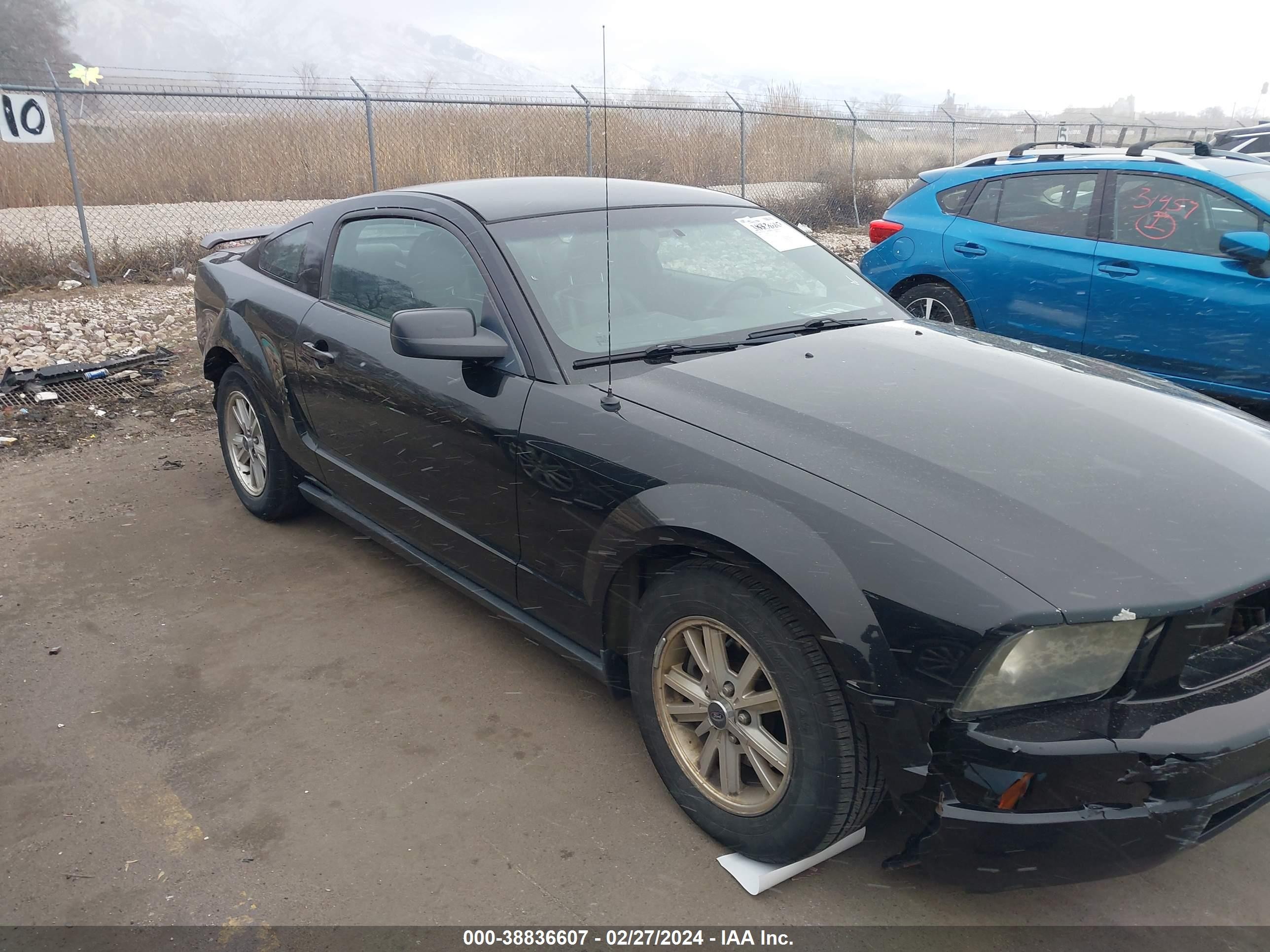 Photo 12 VIN: 1ZVFT80N365105264 - FORD MUSTANG 