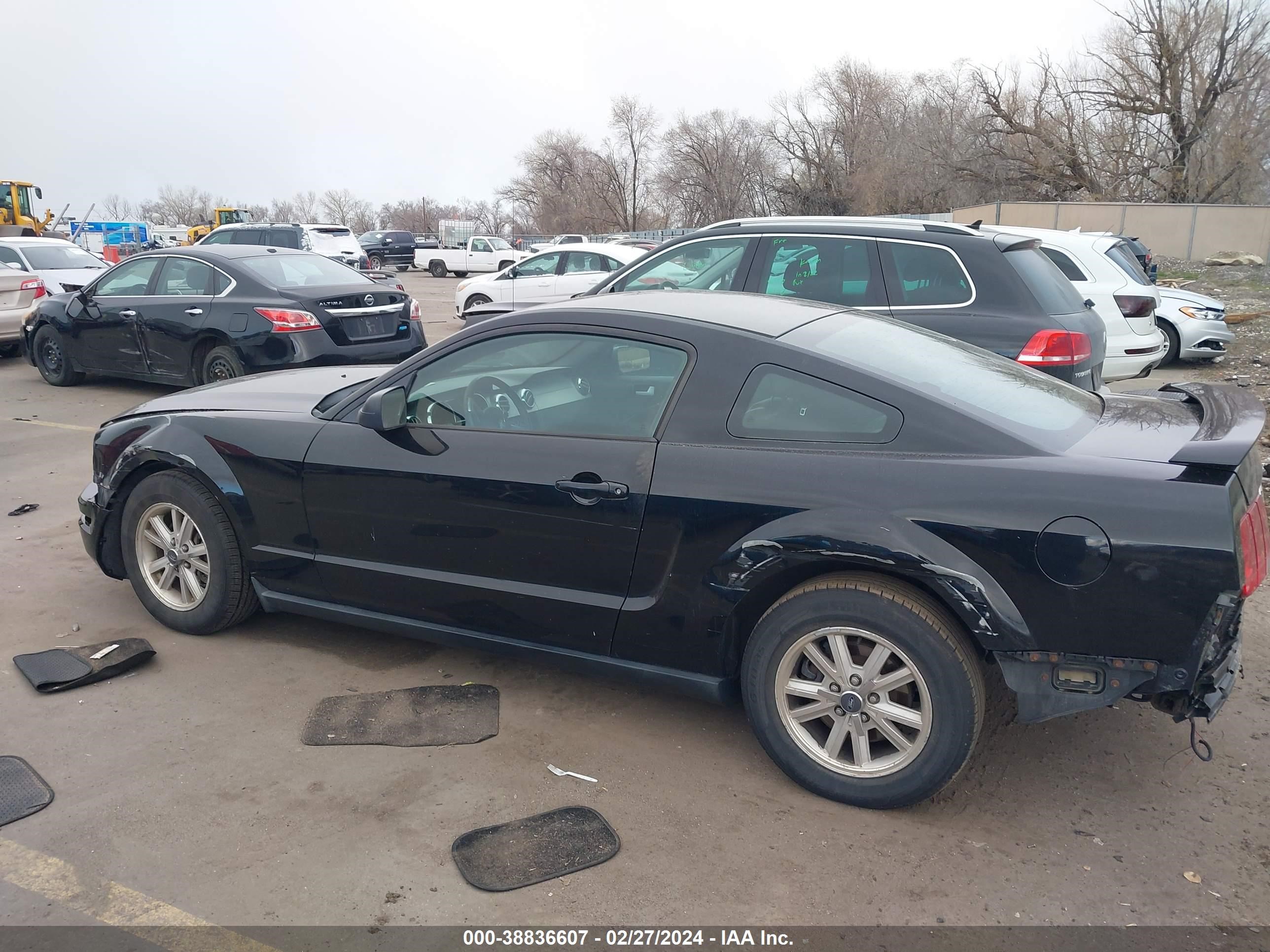 Photo 13 VIN: 1ZVFT80N365105264 - FORD MUSTANG 