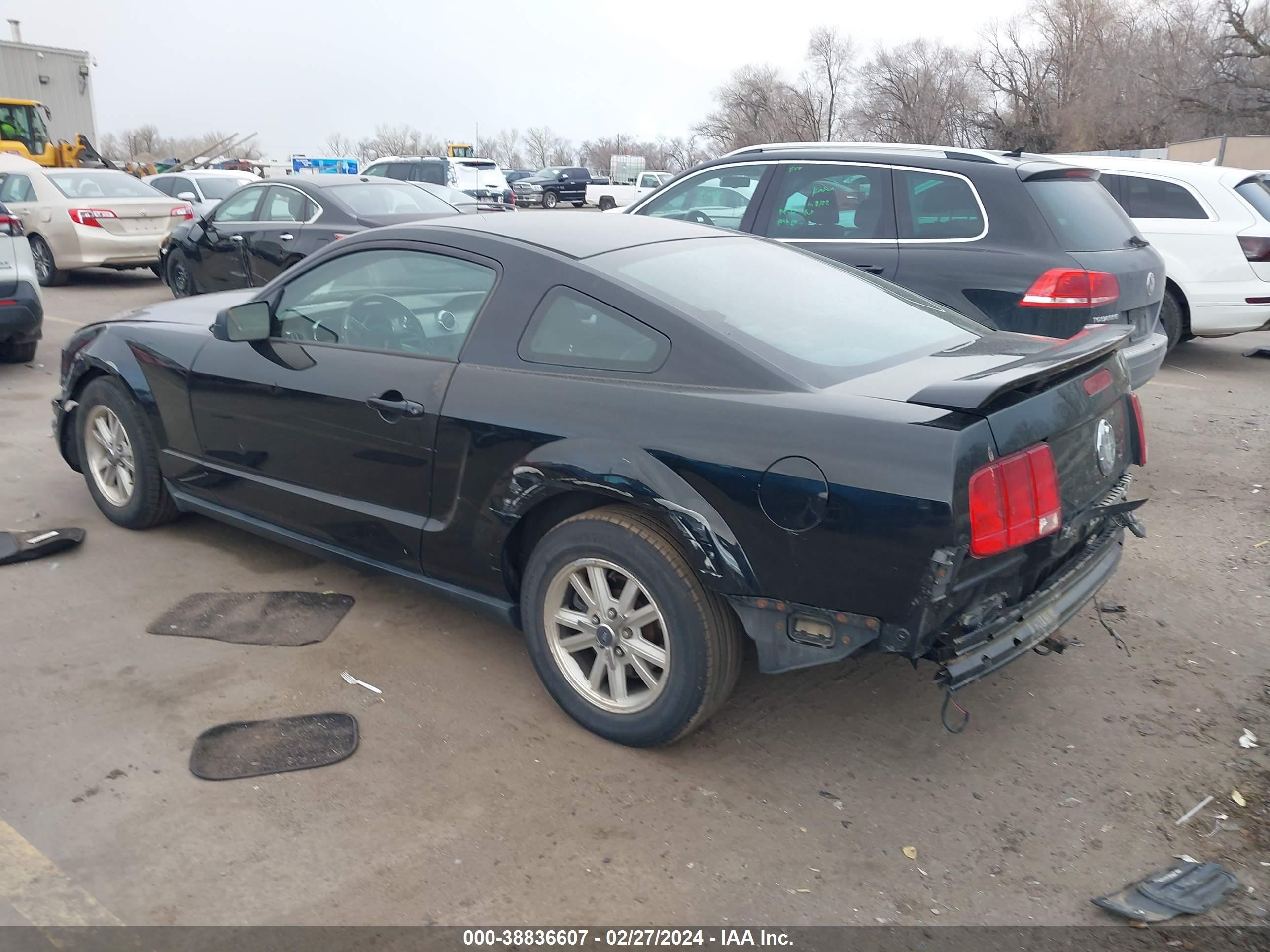 Photo 2 VIN: 1ZVFT80N365105264 - FORD MUSTANG 