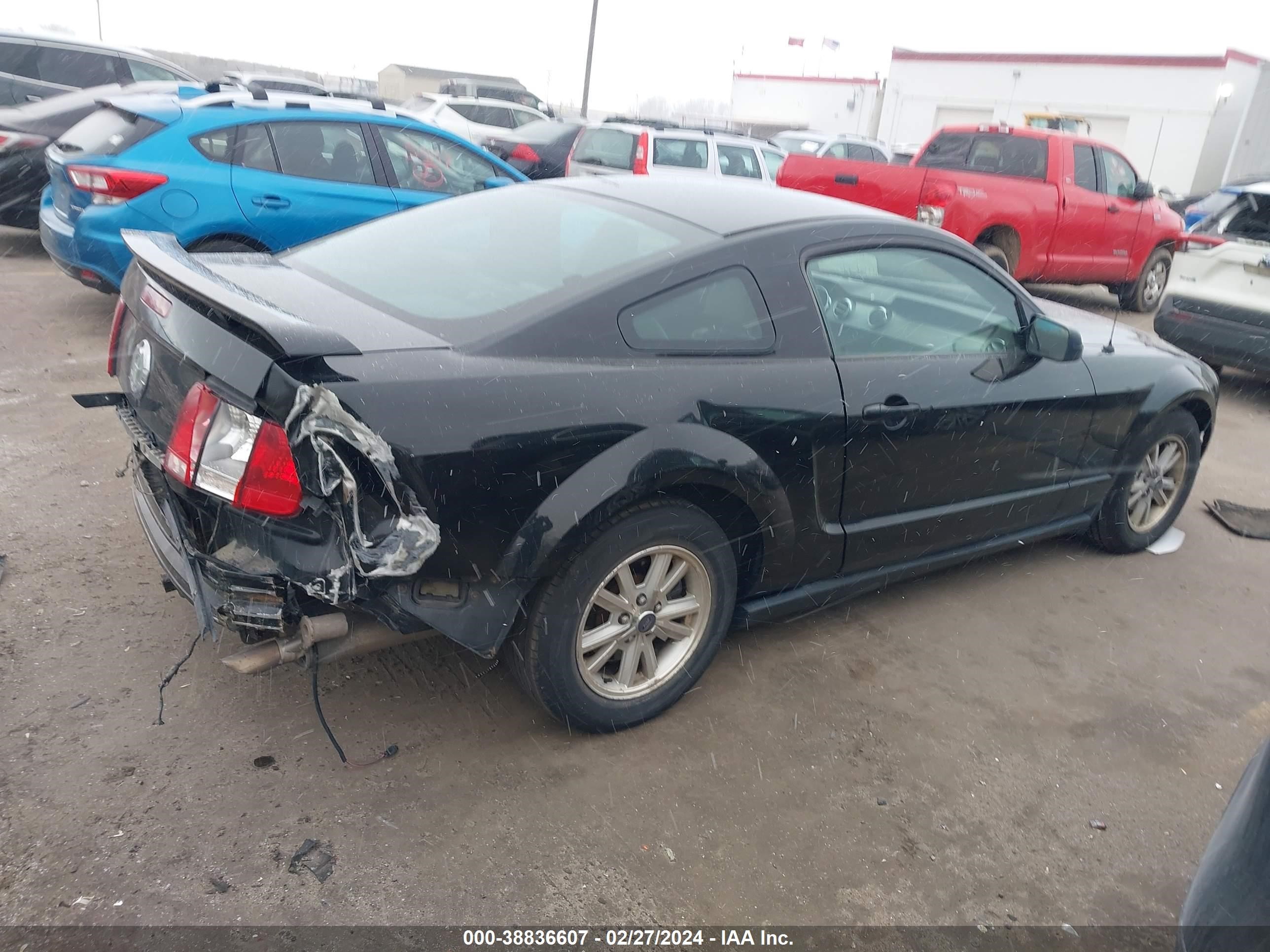 Photo 3 VIN: 1ZVFT80N365105264 - FORD MUSTANG 