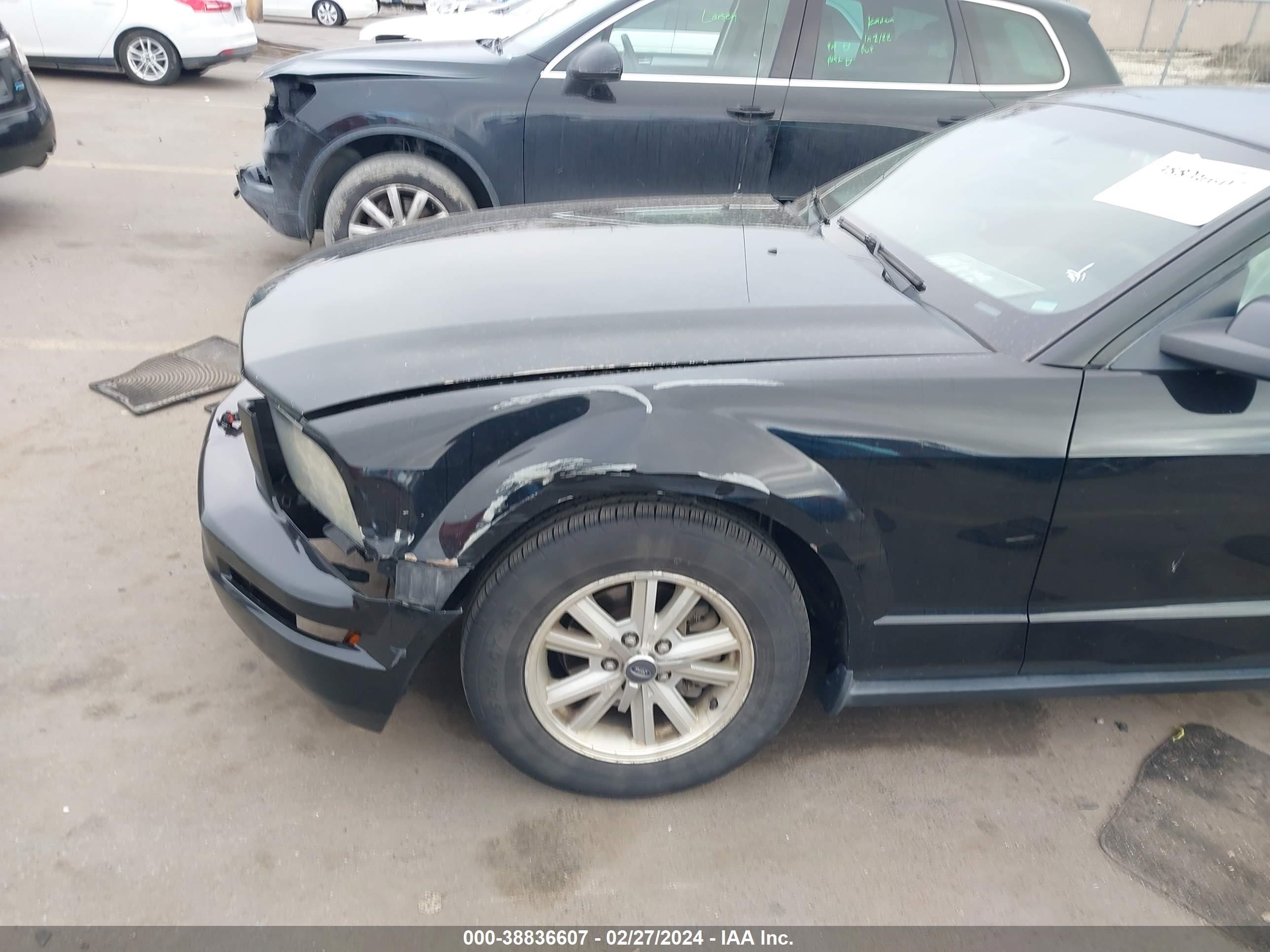 Photo 5 VIN: 1ZVFT80N365105264 - FORD MUSTANG 