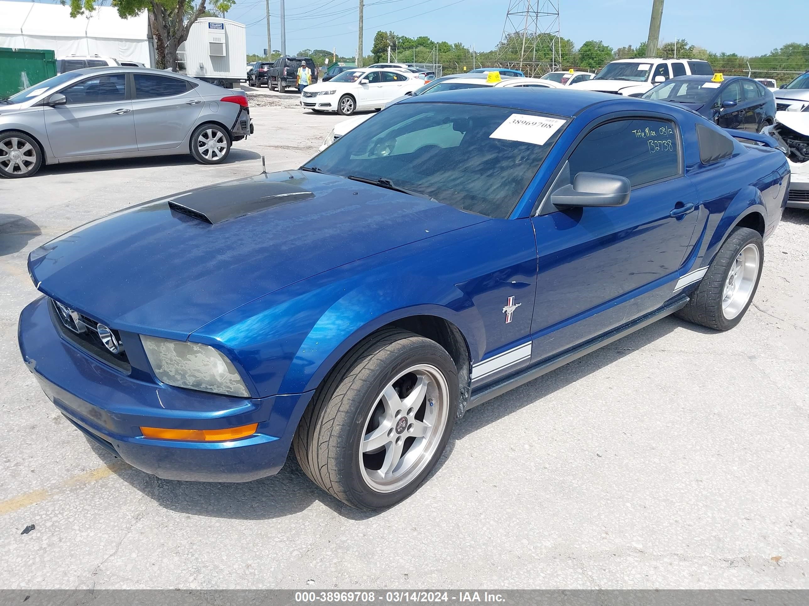 Photo 1 VIN: 1ZVFT80N365132738 - FORD MUSTANG 