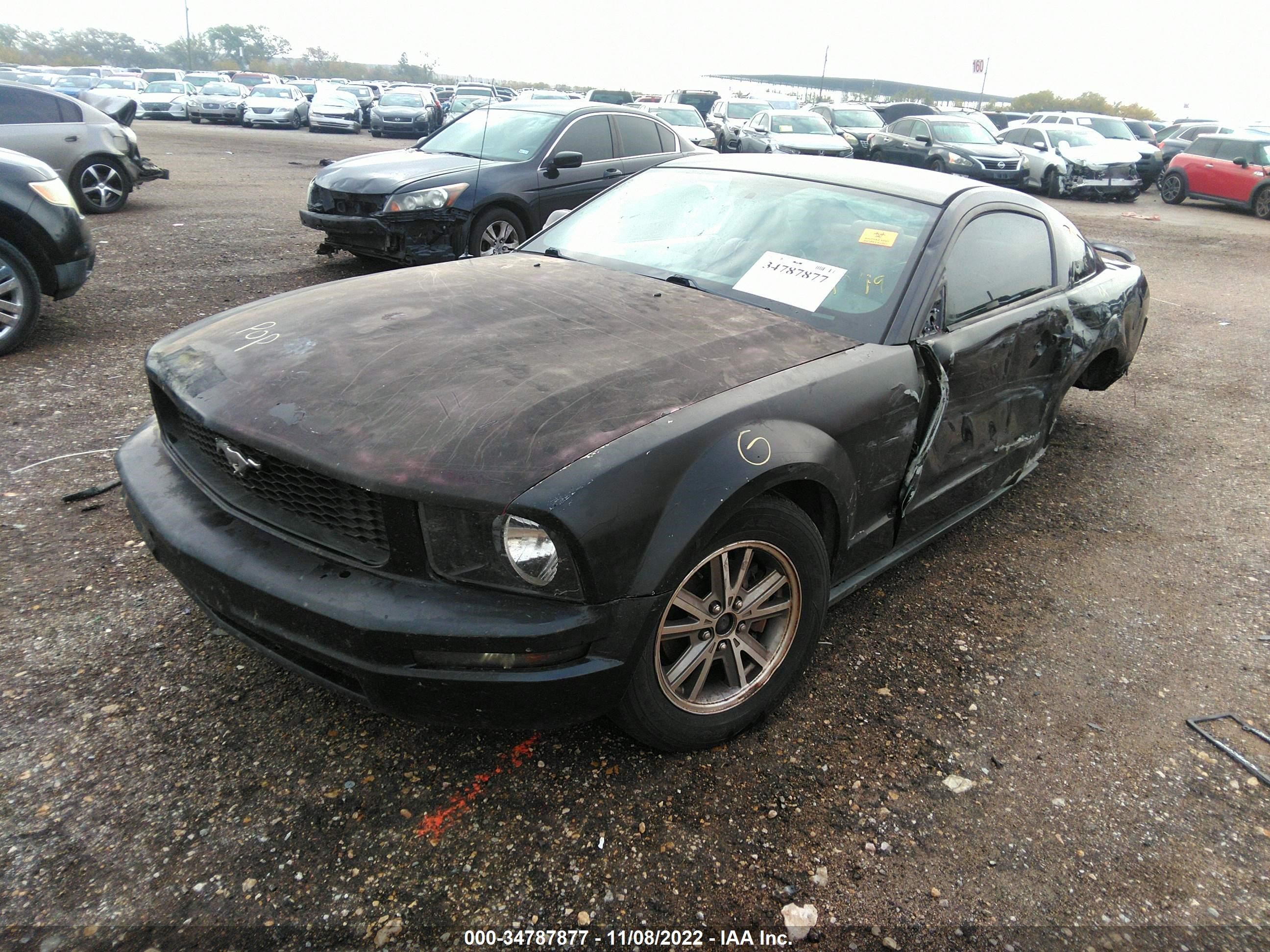 Photo 1 VIN: 1ZVFT80N365161334 - FORD MUSTANG 