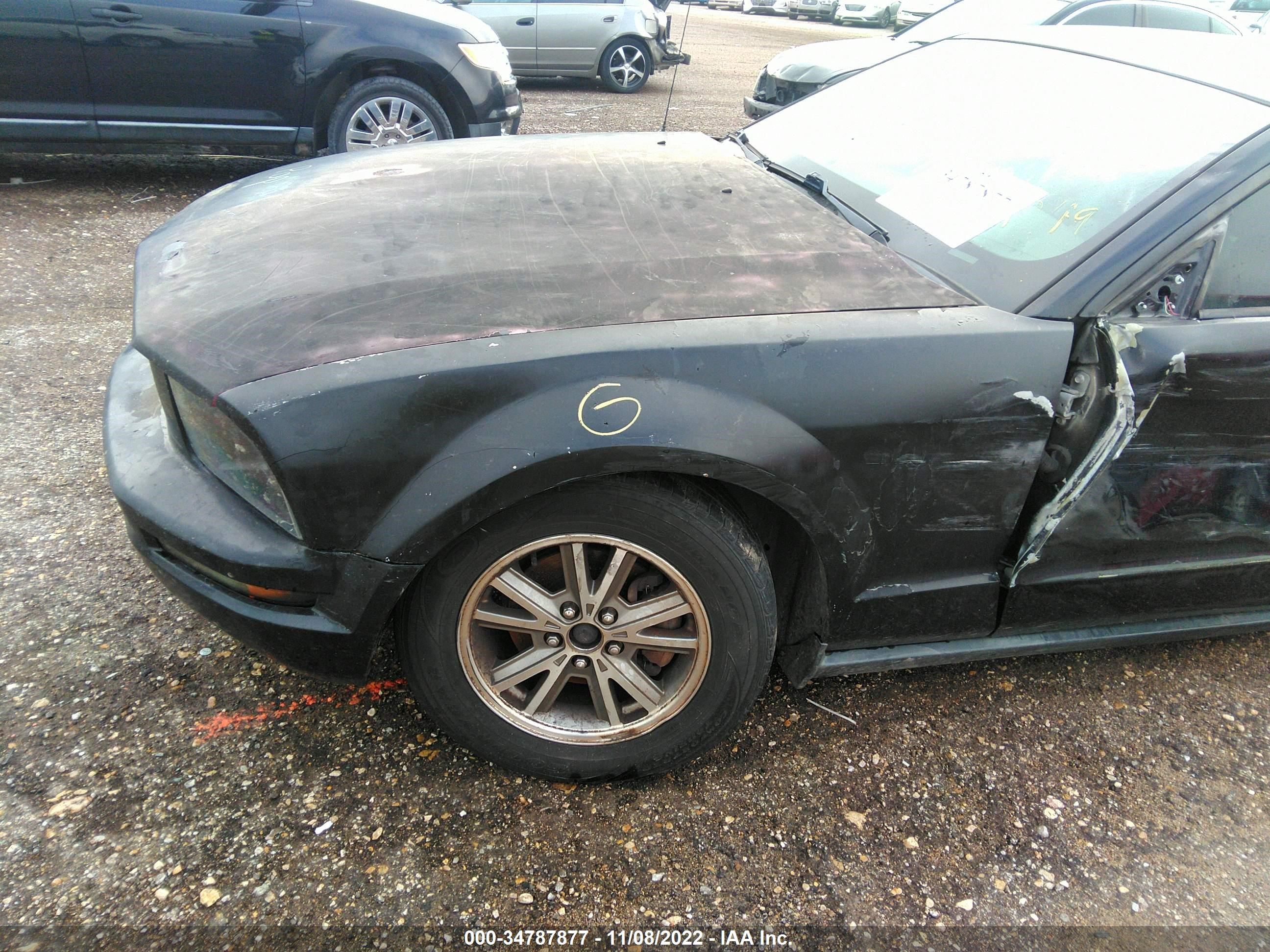 Photo 11 VIN: 1ZVFT80N365161334 - FORD MUSTANG 