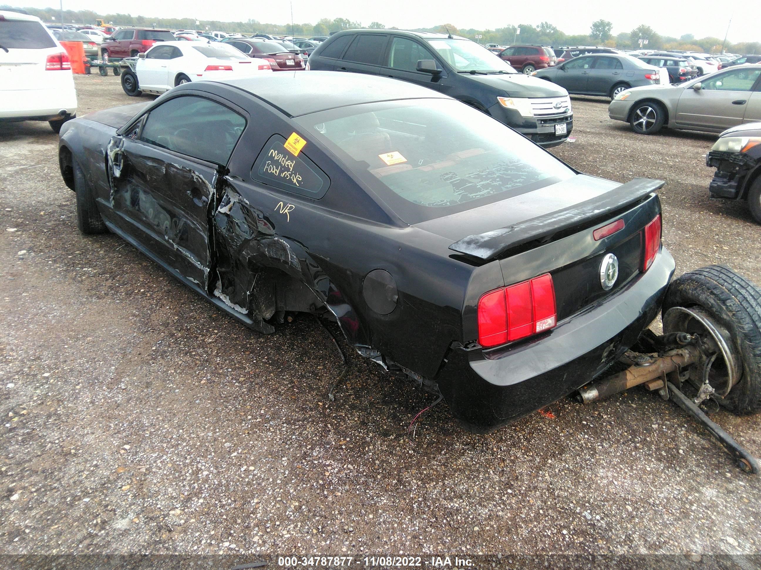 Photo 2 VIN: 1ZVFT80N365161334 - FORD MUSTANG 