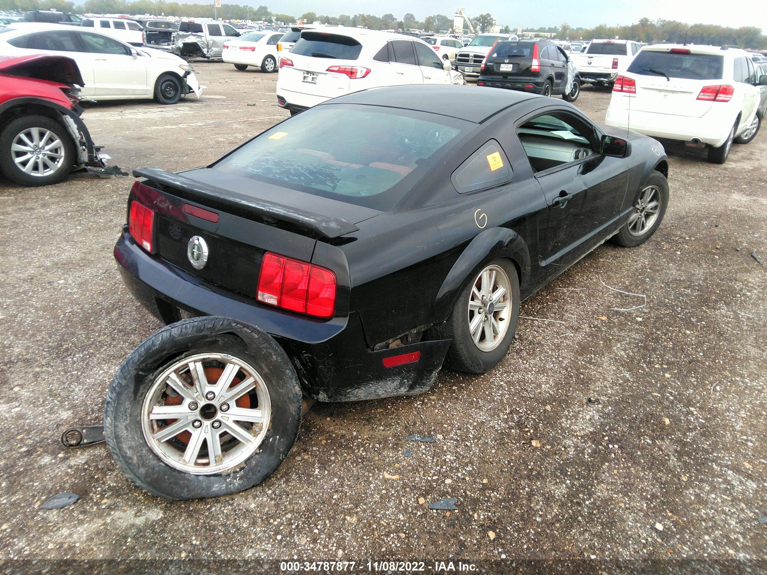 Photo 3 VIN: 1ZVFT80N365161334 - FORD MUSTANG 