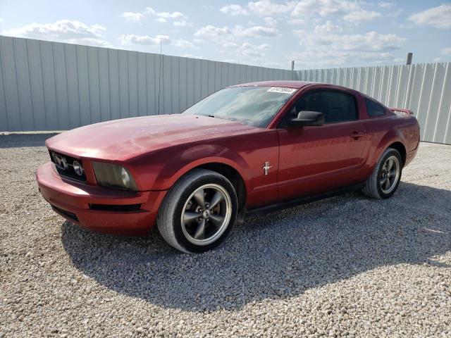 Photo 0 VIN: 1ZVFT80N365162192 - FORD MUSTANG 