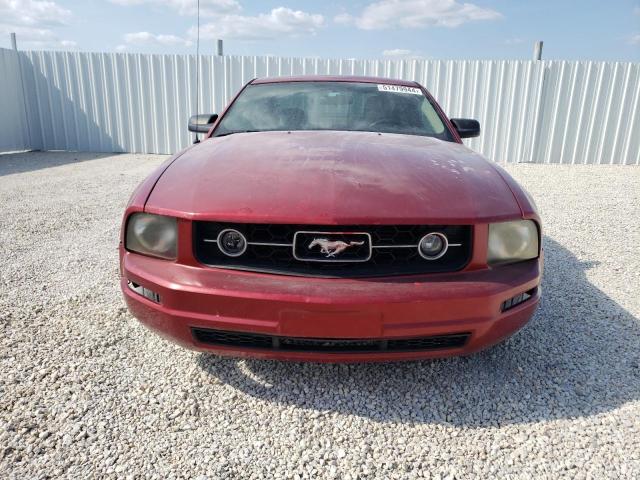 Photo 4 VIN: 1ZVFT80N365162192 - FORD MUSTANG 