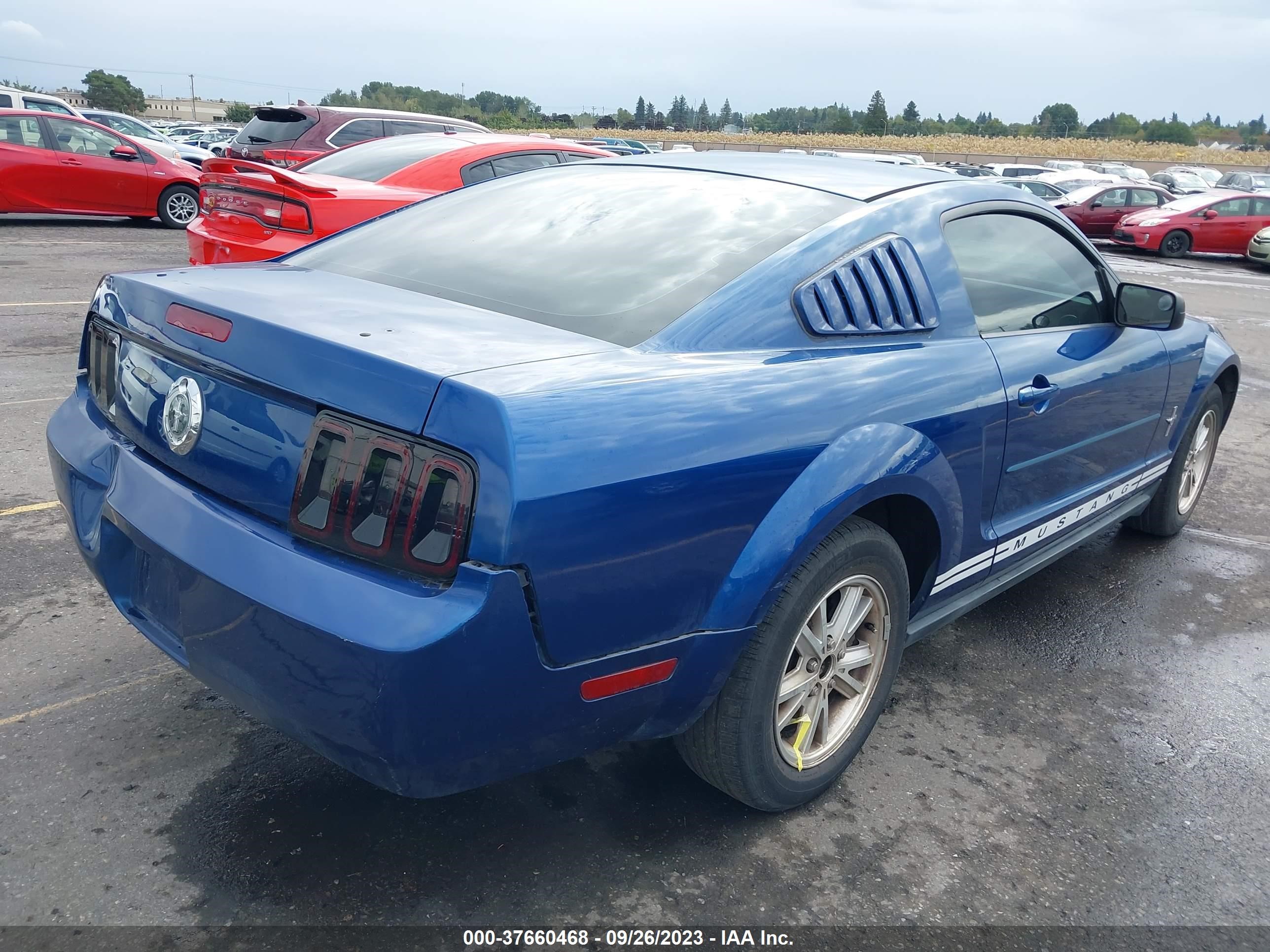 Photo 3 VIN: 1ZVFT80N375257451 - FORD MUSTANG 