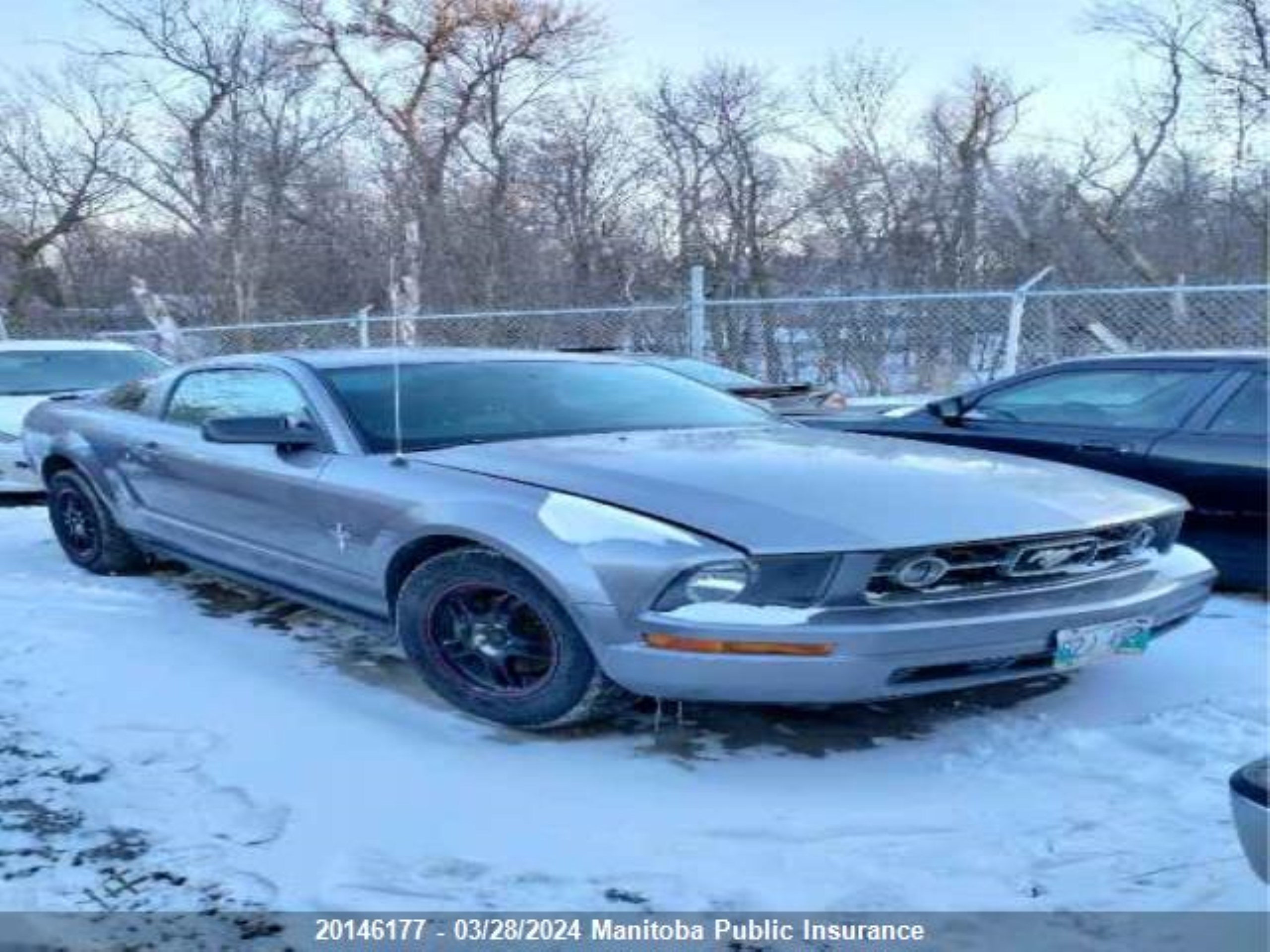 Photo 0 VIN: 1ZVFT80N375271527 - FORD MUSTANG 