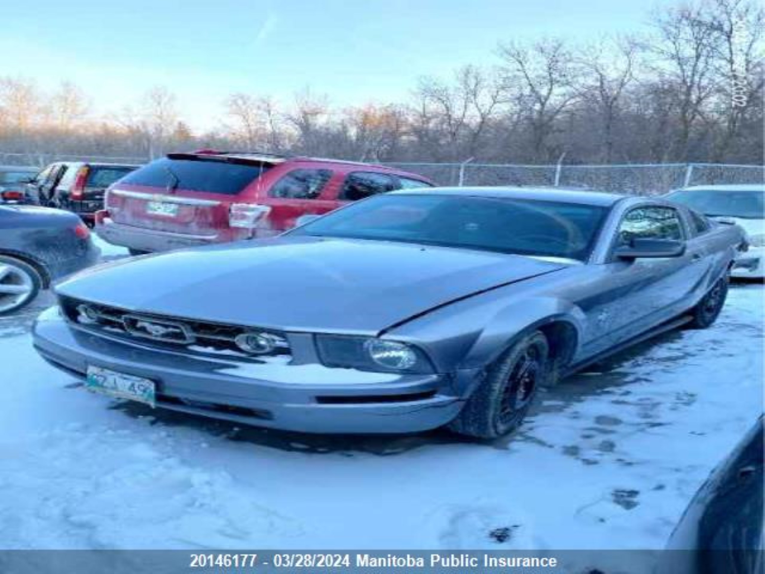 Photo 1 VIN: 1ZVFT80N375271527 - FORD MUSTANG 