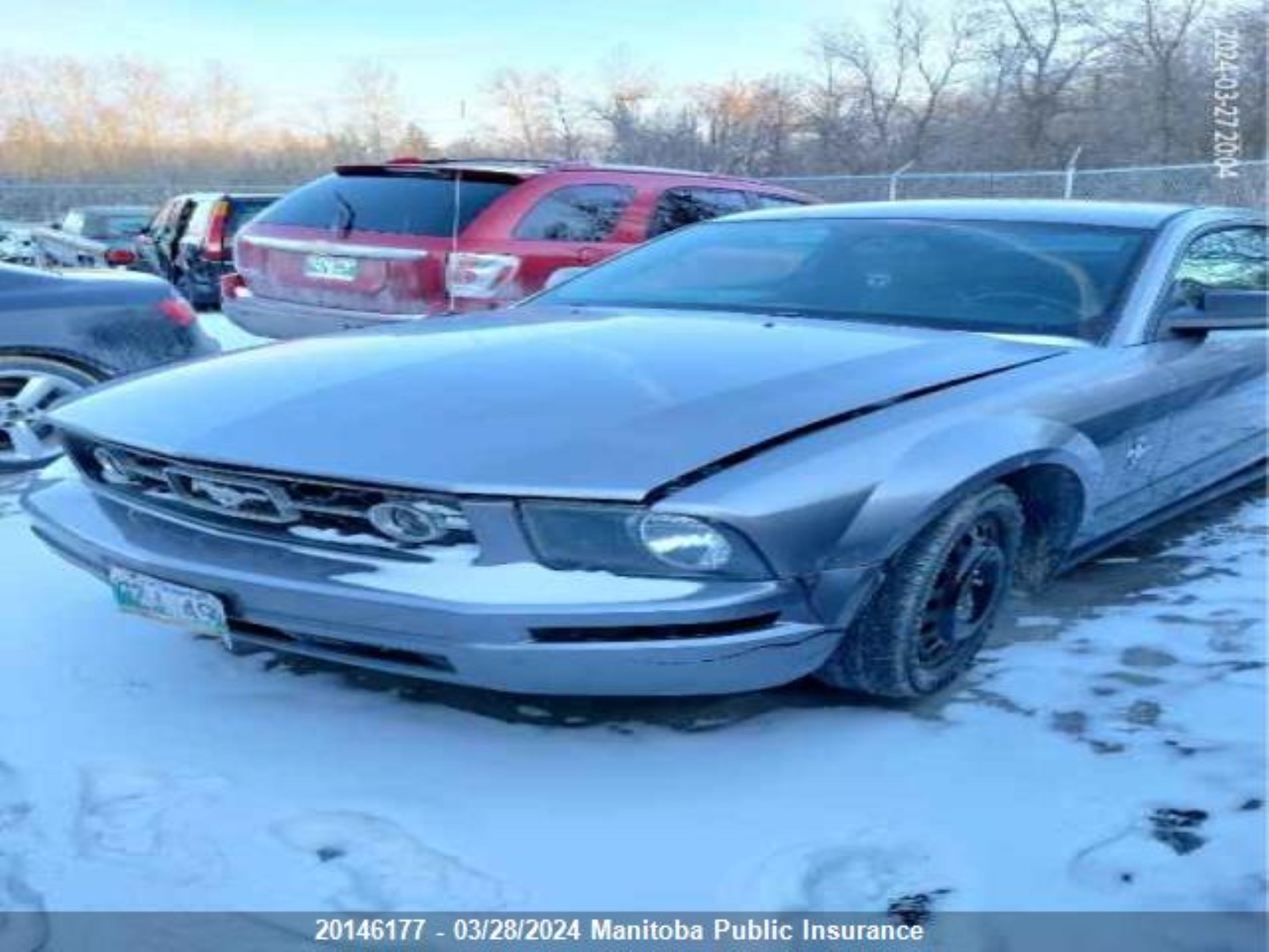 Photo 5 VIN: 1ZVFT80N375271527 - FORD MUSTANG 