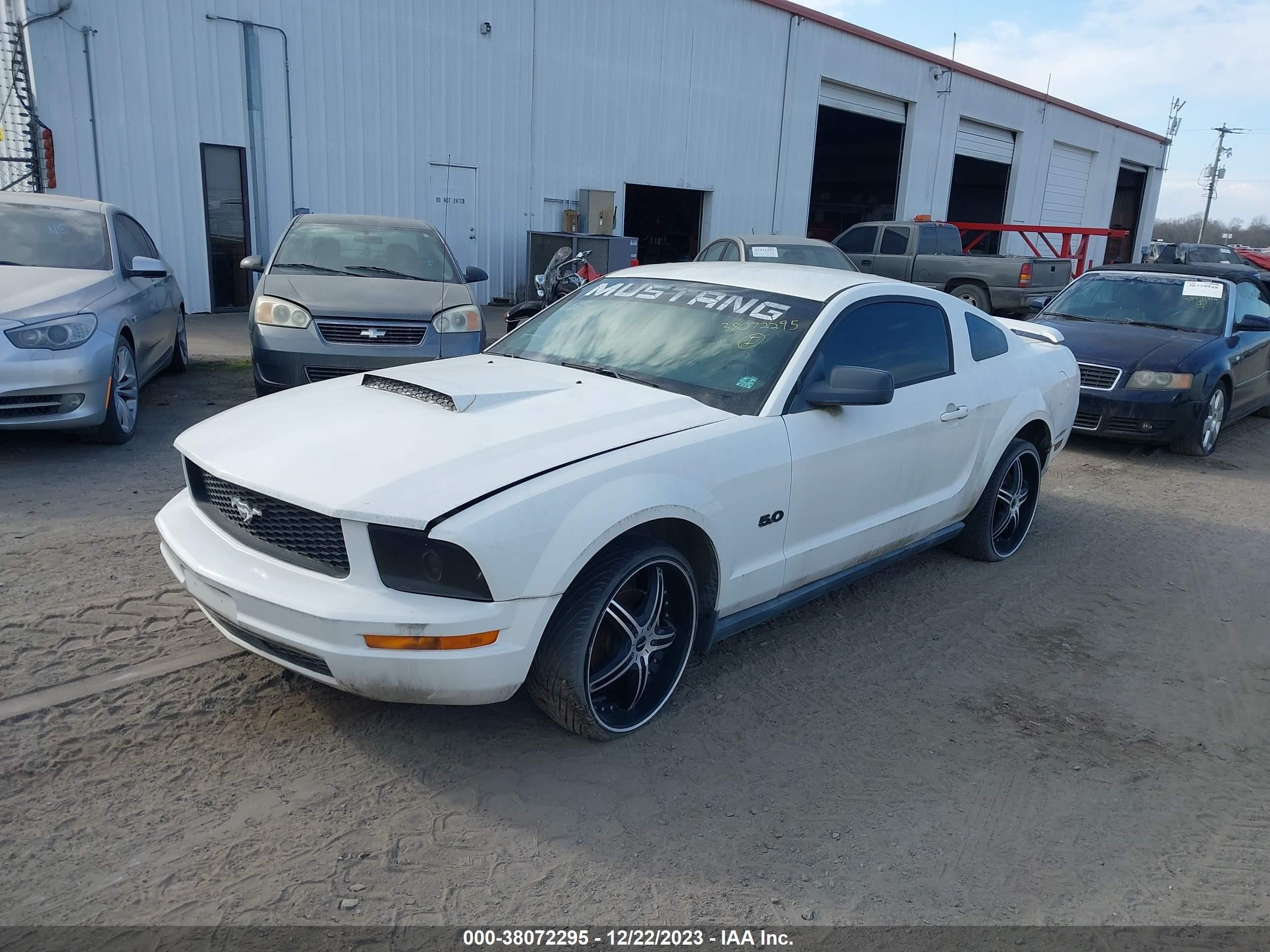 Photo 1 VIN: 1ZVFT80N455224570 - FORD MUSTANG 