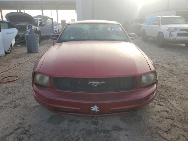 Photo 4 VIN: 1ZVFT80N455259612 - FORD MUSTANG 