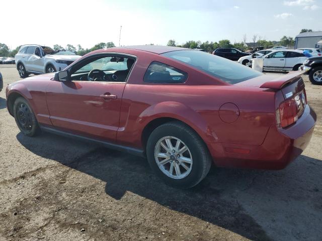 Photo 1 VIN: 1ZVFT80N465132036 - FORD MUSTANG 