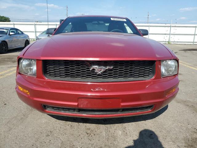 Photo 4 VIN: 1ZVFT80N465132036 - FORD MUSTANG 